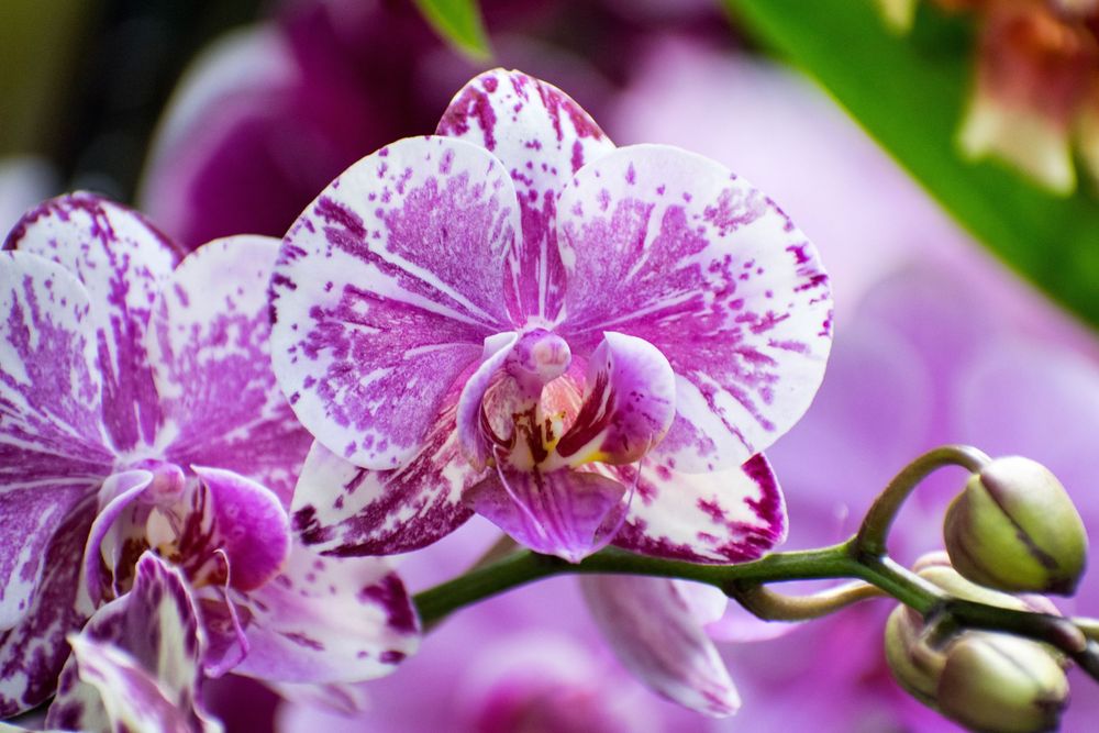 Nature Shots - Prints available @PhotosbyJennRoberts
