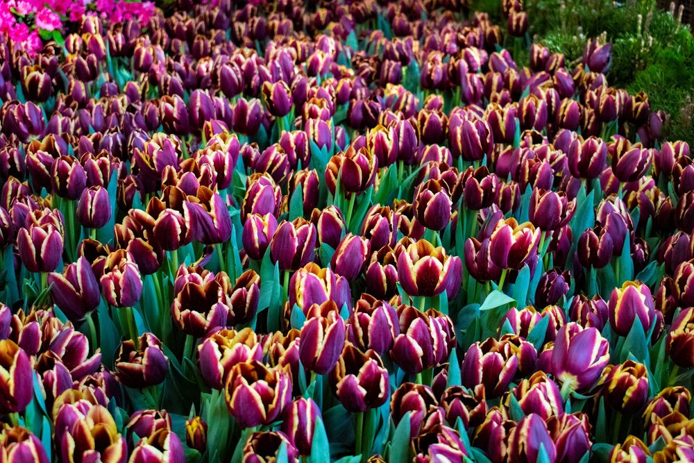 Nature Shots - Prints available @PhotosbyJennRoberts