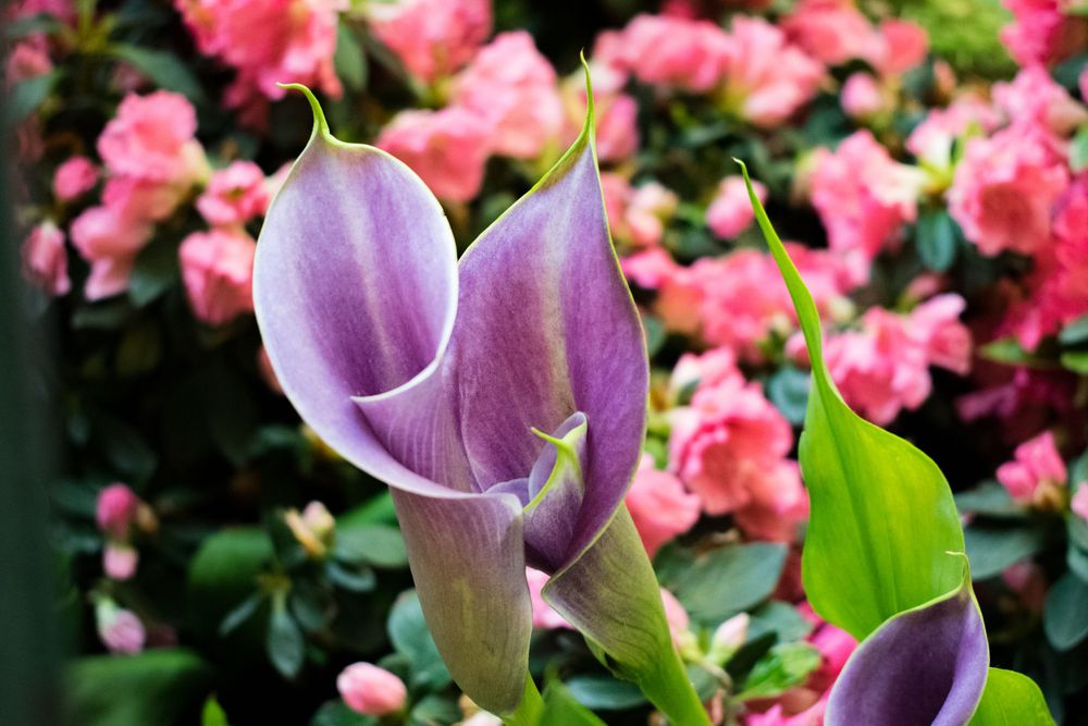 Nature Shots - Prints available @PhotosbyJennRoberts