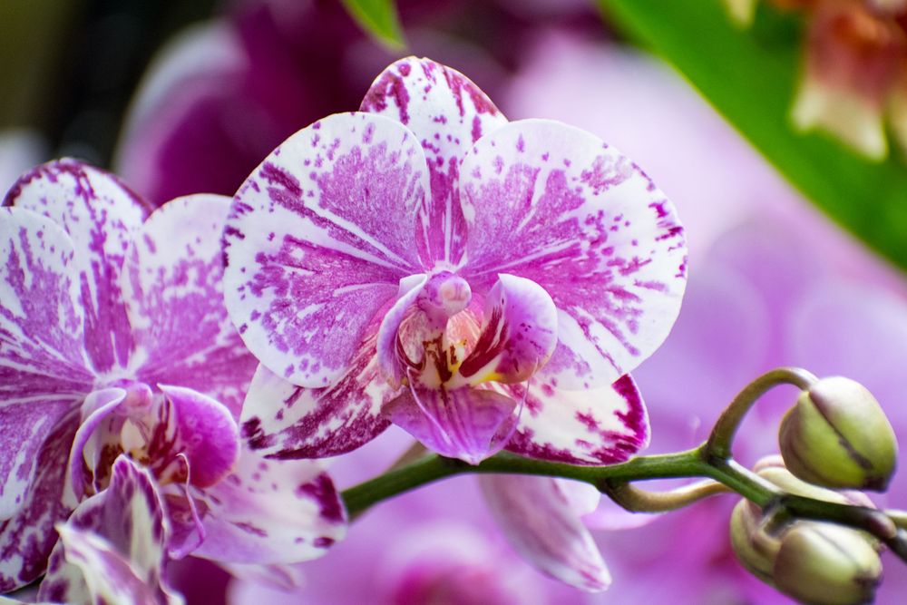 Nature Shots - Prints available @PhotosbyJennRoberts