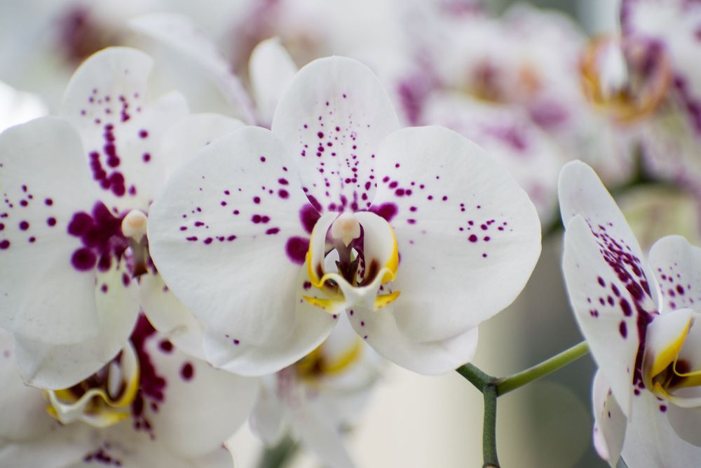 Nature Shots - Prints available @PhotosbyJennRoberts