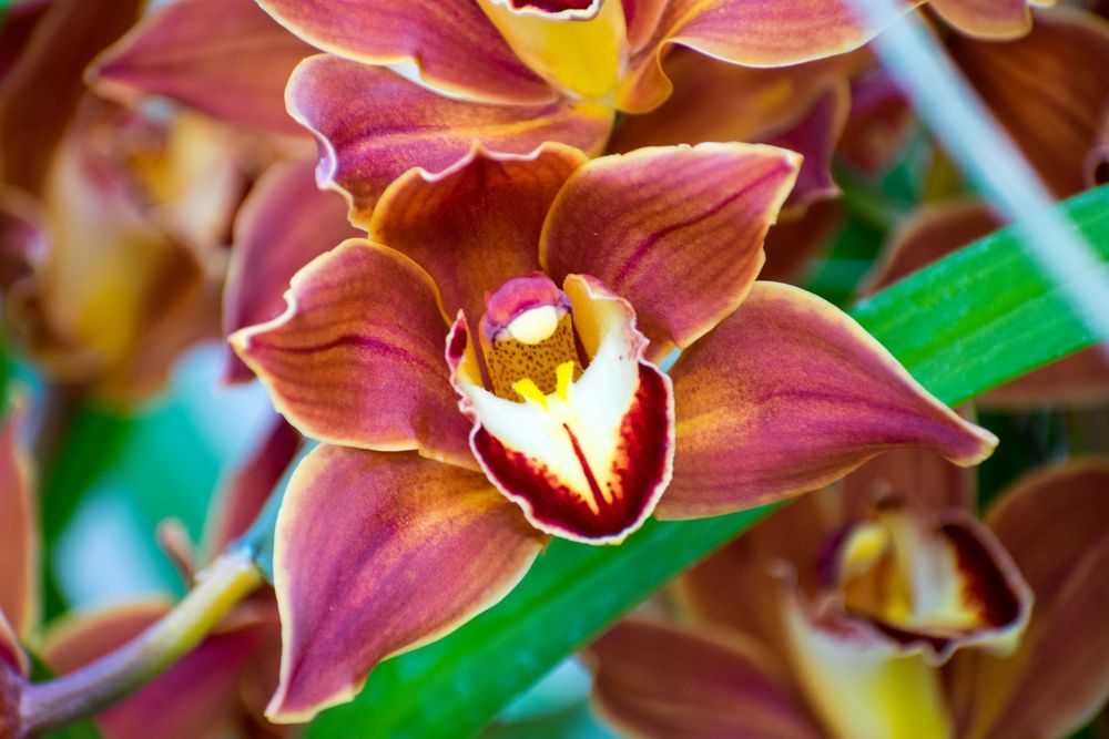 Nature Shots - Prints available @PhotosbyJennRoberts
