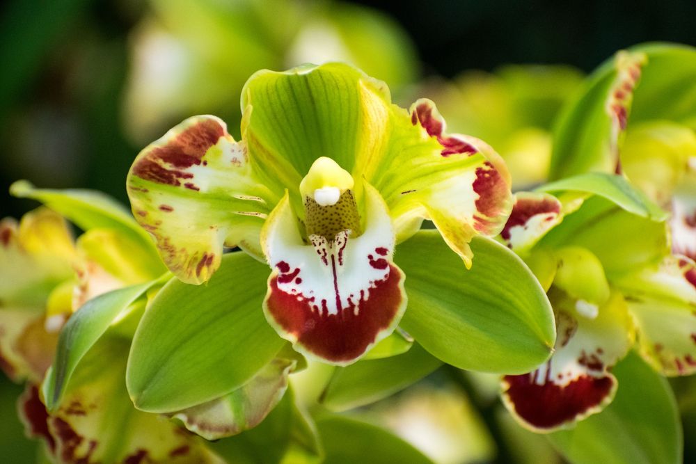 Nature Shots - Prints available @PhotosbyJennRoberts