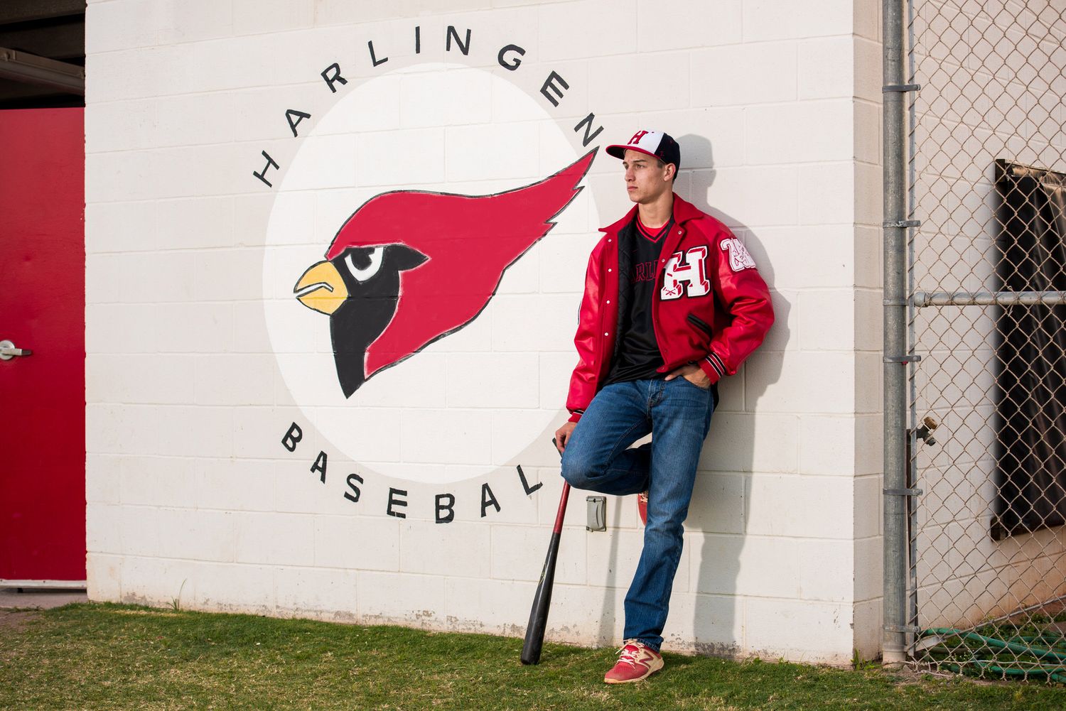 Baseball Portrait