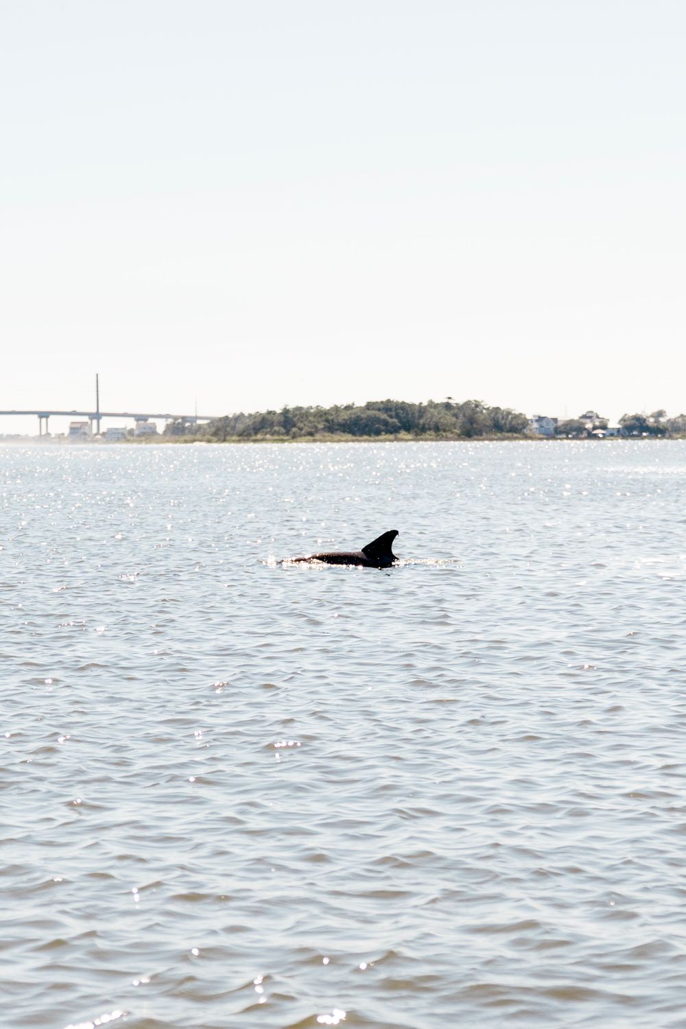 NC Coastal elopement photographer. Jacksonville Wedding Photographer and videographer. Wilmington Wedding Photographer and videographer.