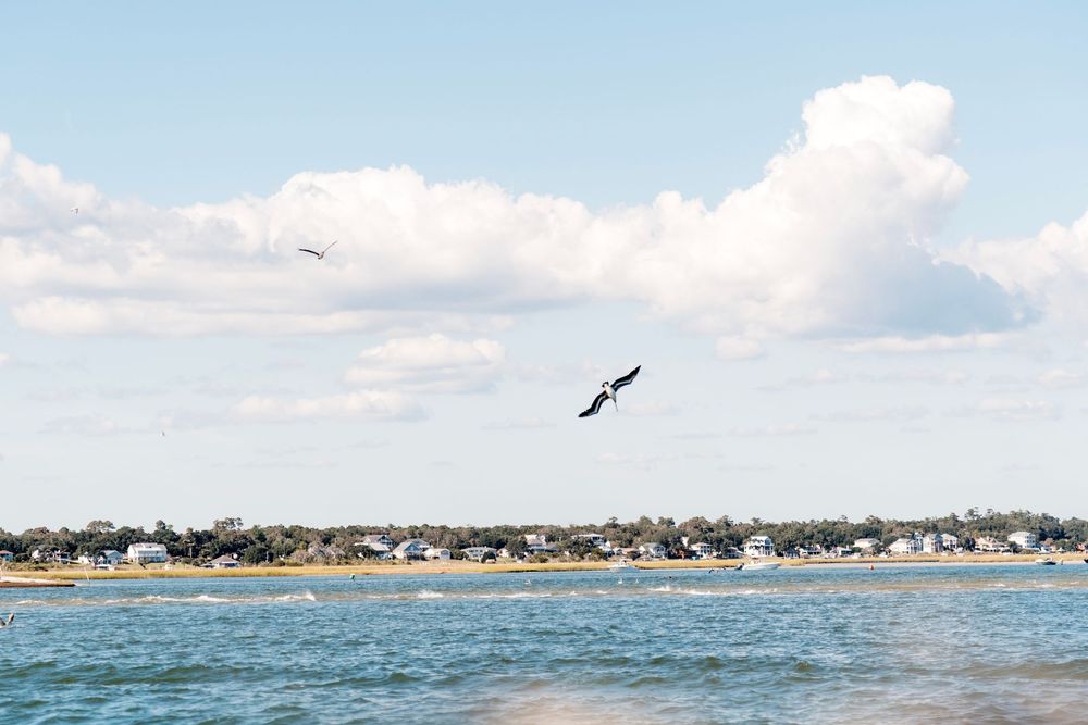 NC Coastal elopement photographer. Jacksonville Wedding Photographer and videographer. Wilmington Wedding Photographer and videographer.
