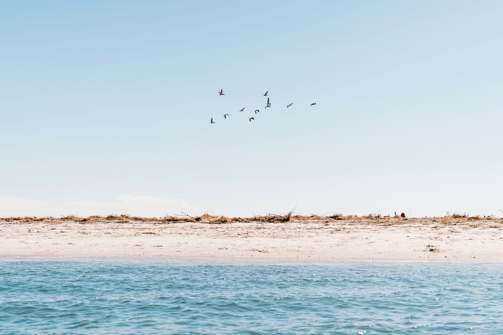 NC Coastal elopement photographer. Jacksonville Wedding Photographer and videographer. Wilmington Wedding Photographer and videographer.