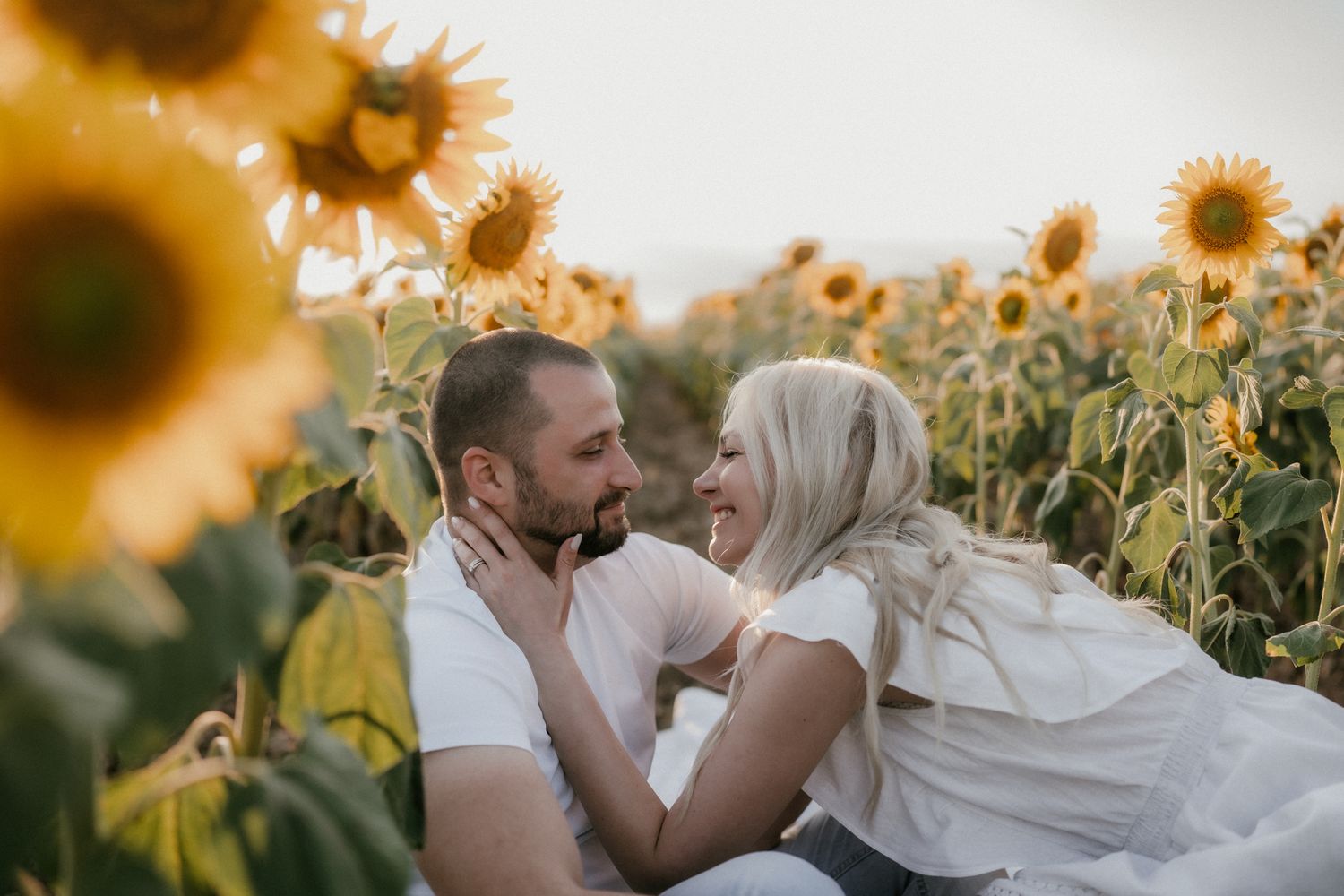 A romantic couple shares an intimate moment in a vibrant sunflower field during sunset.