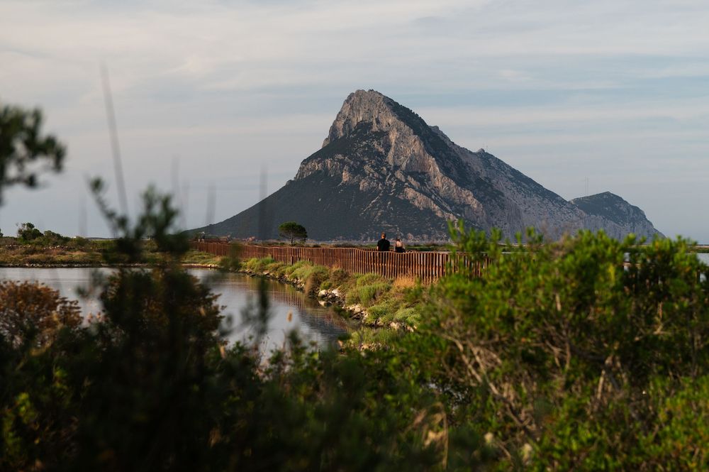 Dramatic mountain peak rising above wetlands with rustic wooden boardwalk in foreground.