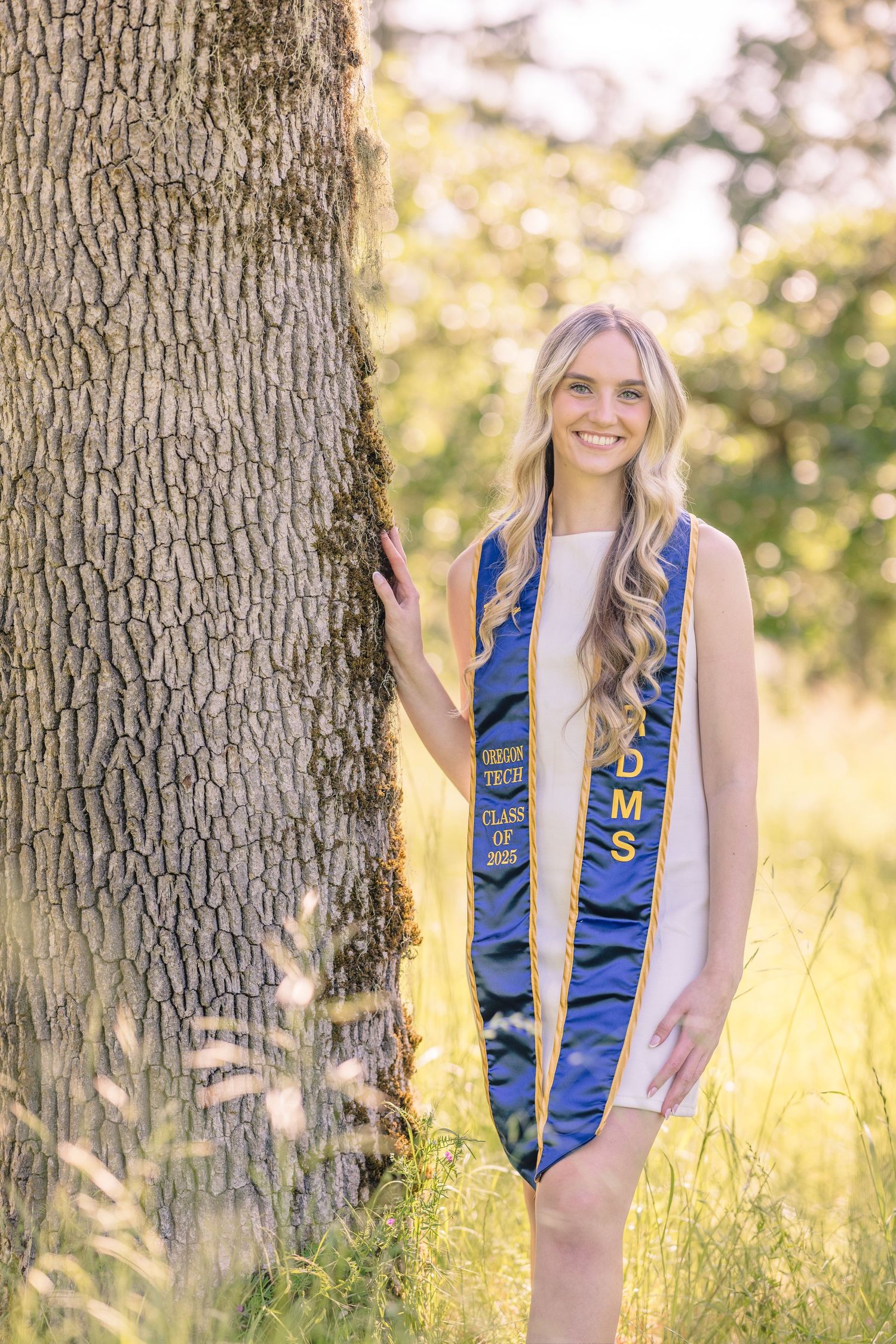 Graduate wearing blue and gold honor stoles poses for outdoor portraits near a tree in golden sunlight.