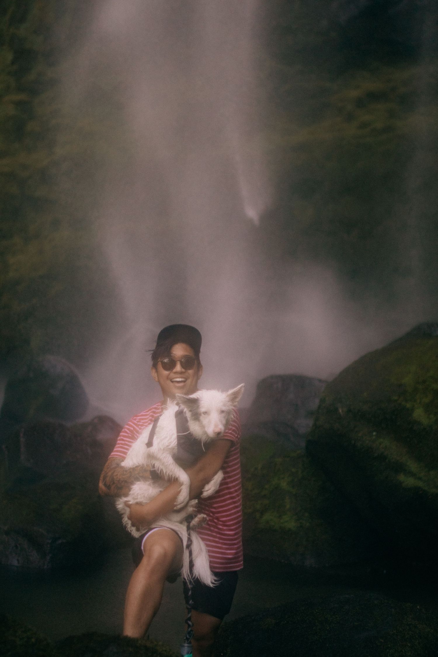 Person in red and white striped shirt plays with small white cat in misty outdoor setting.