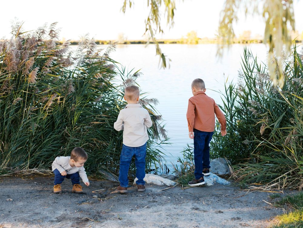 Three children play and explore near a lake surrounded by tall reeds and grasses on a sunny afternoon.
