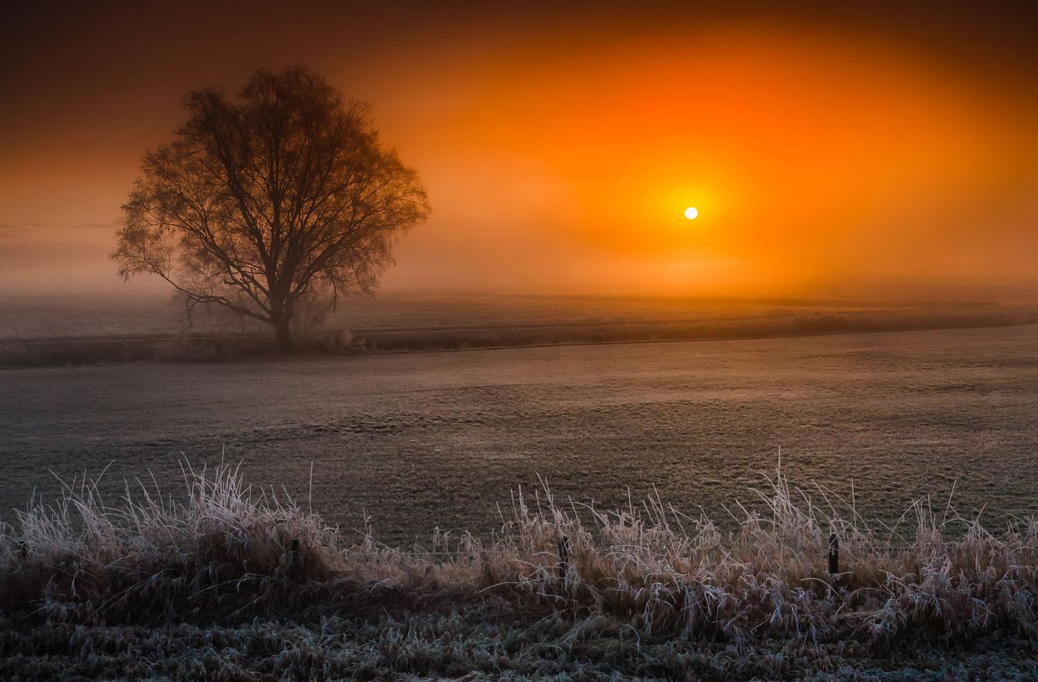 Hale Rd, Pitt Meadows, British Columbia