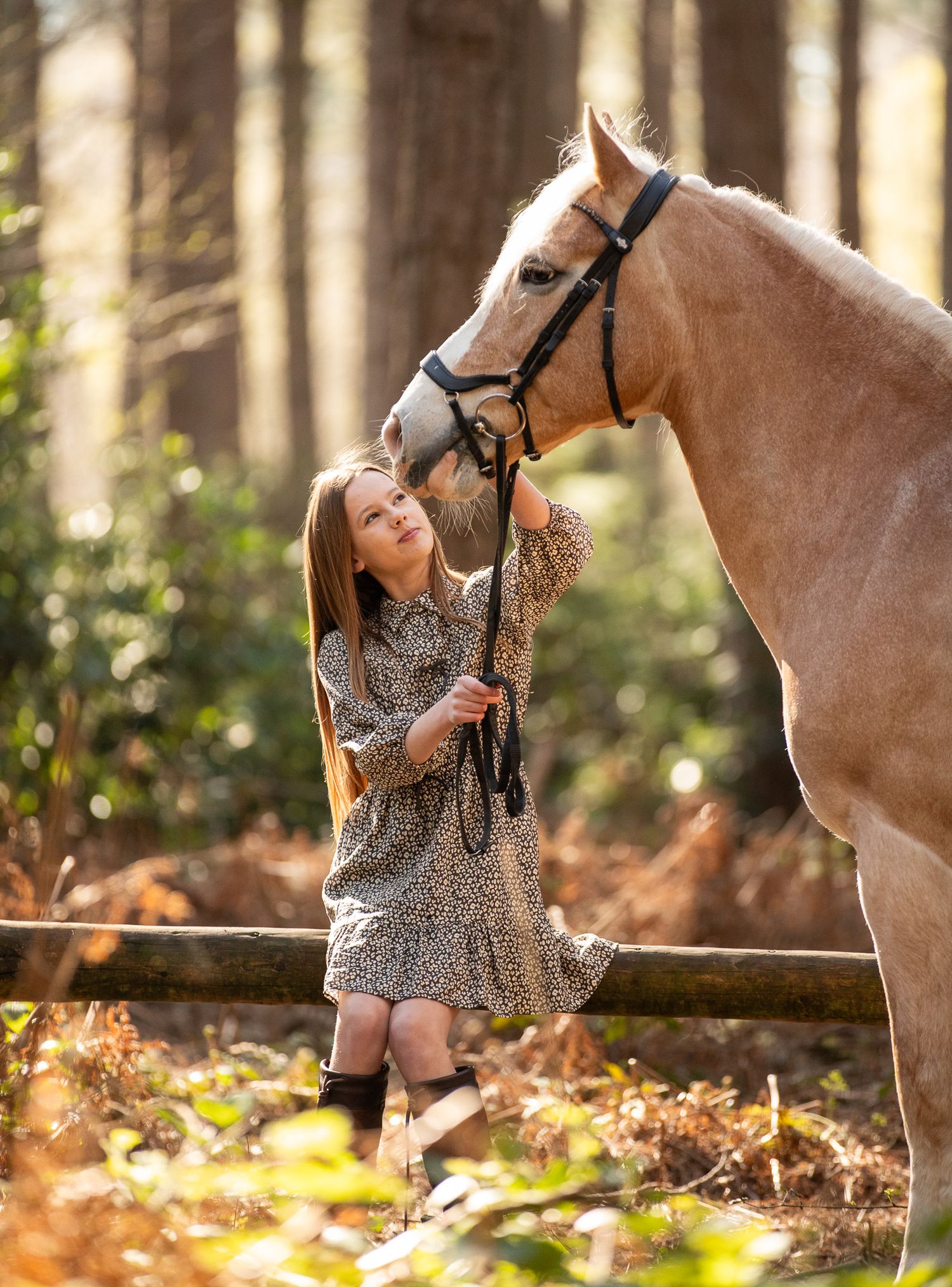 A large cream-colored draft horse and its companion pause together in a sunlit autumn forest.