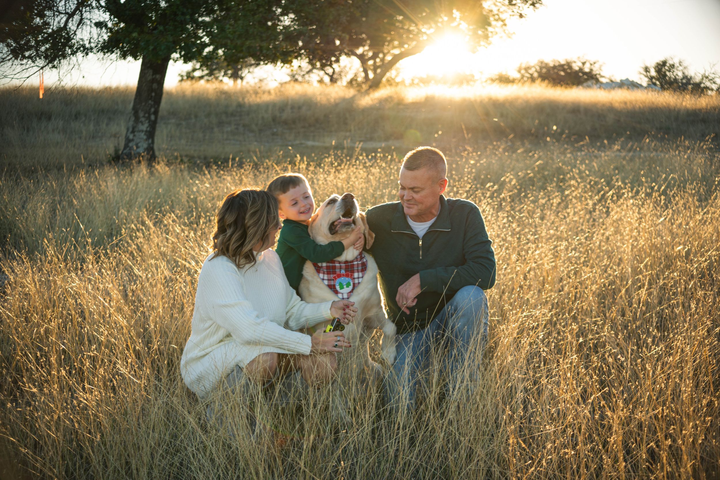 Golden sunlight streams through trees as people gather in a grassy field at dusk.