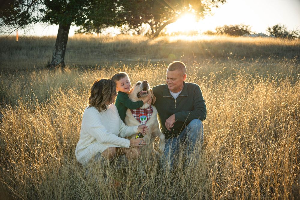 Golden sunlight streams through trees as people gather in a grassy field at dusk.