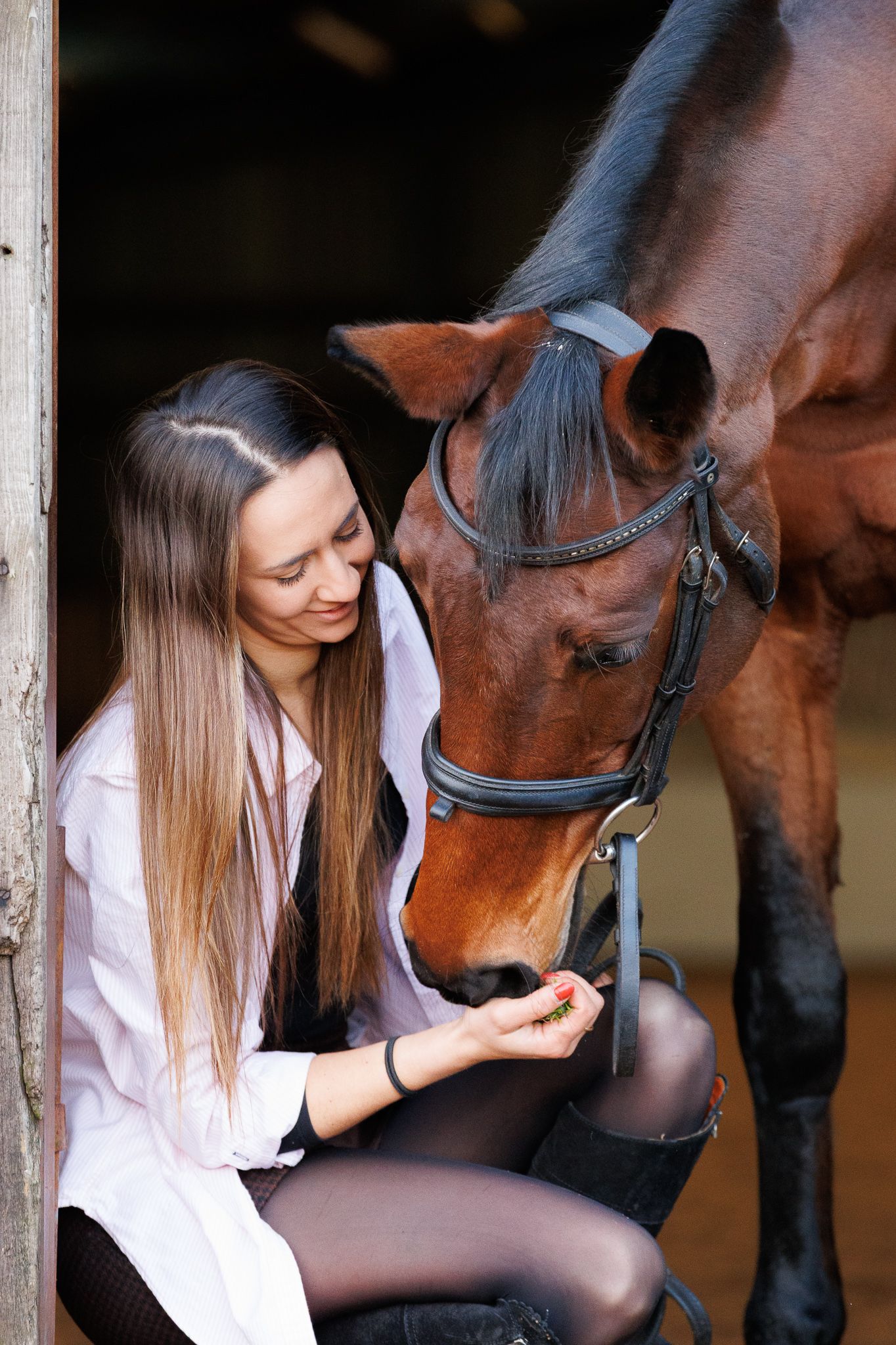 A beautiful bay horse wearing a black bridle stands next to someone in a white lace dress in an outdoor setting.