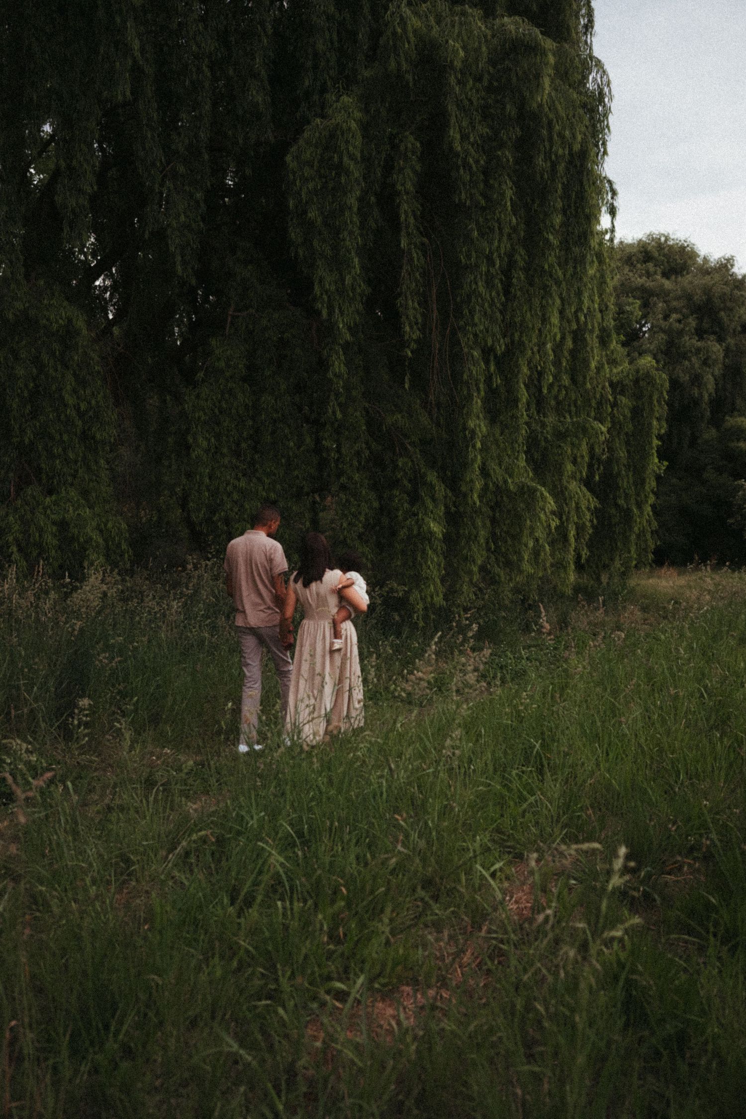 Silhouettes of people walking through tall grass near weeping willow trees.