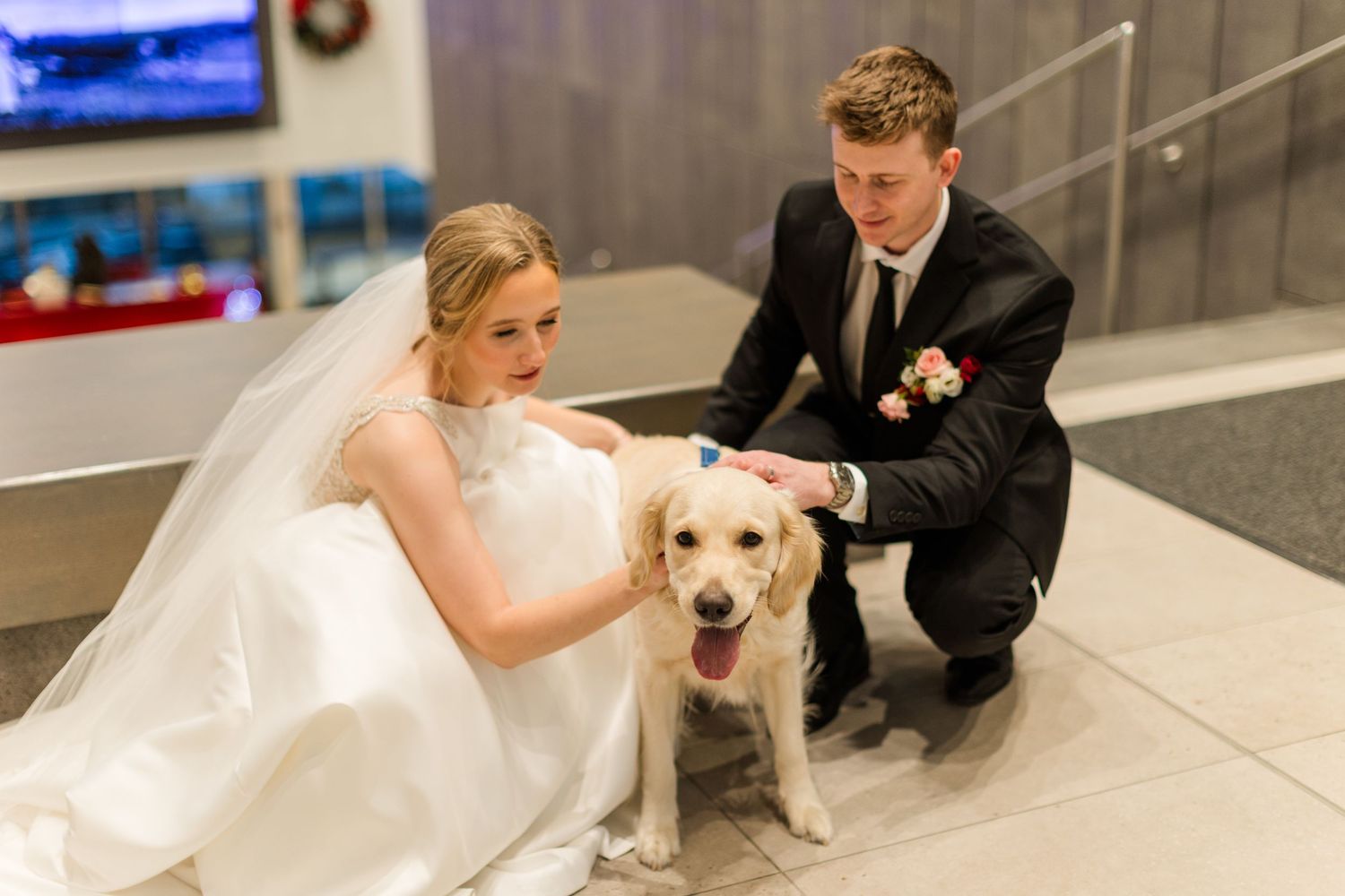 A bride in a white wedding dress kneels next to a yellow Labrador retriever in a formal setting.