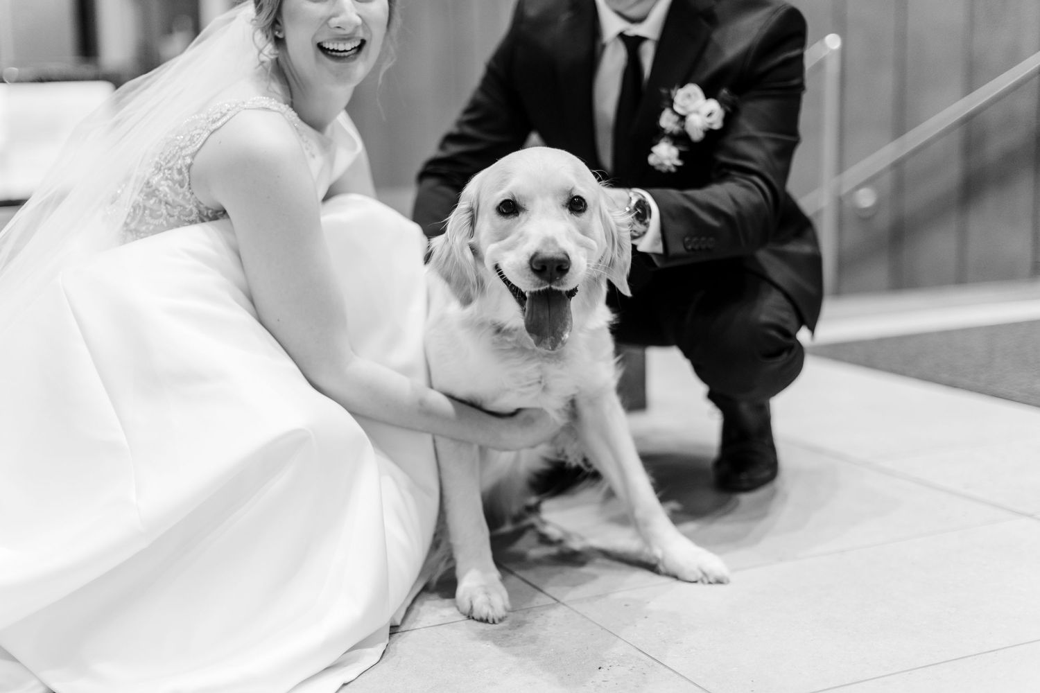 A happy Labrador retriever poses with a couple on their wedding day in black and white photography.
