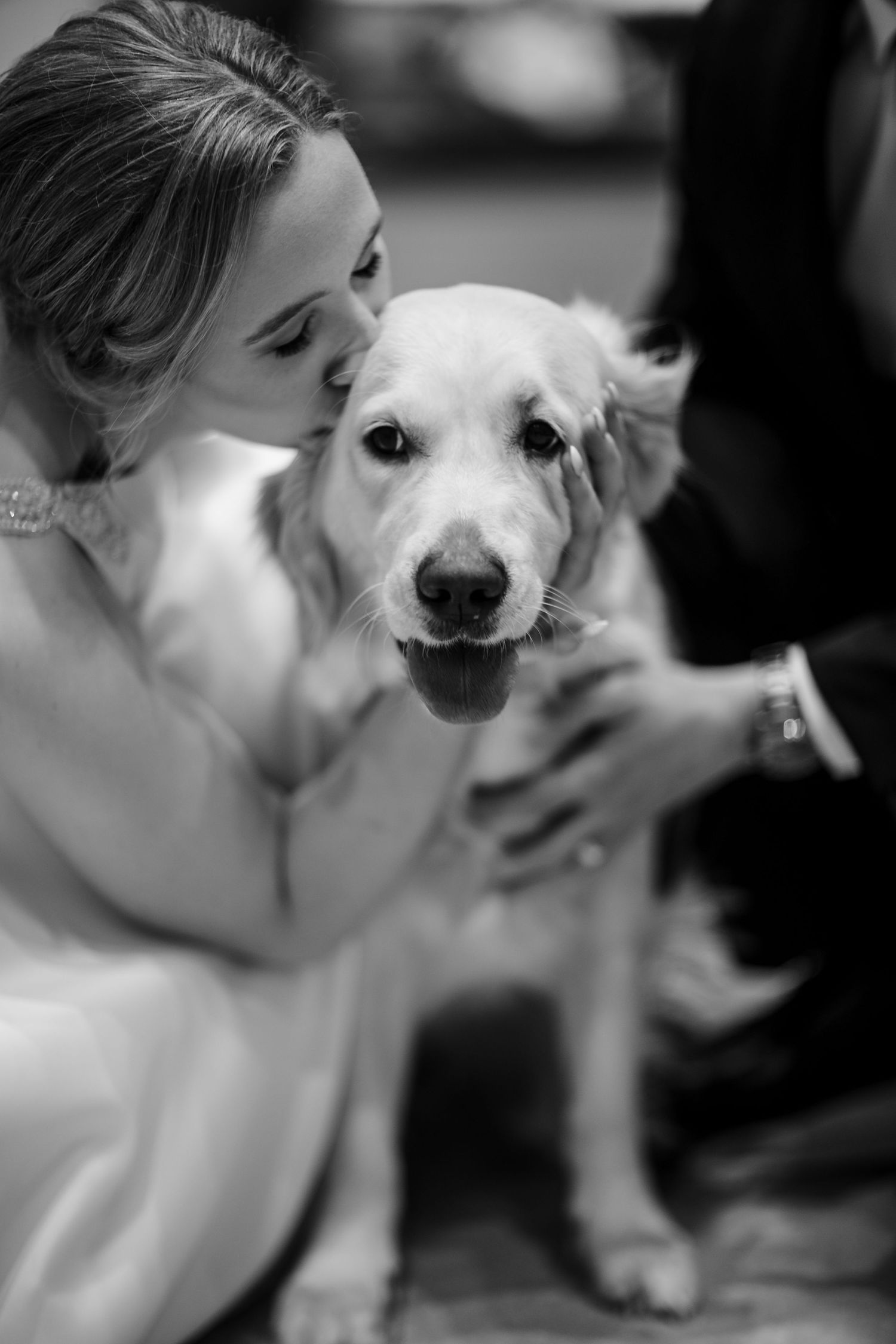A series of black and white photos showing tender moments between a person and a small white dog.