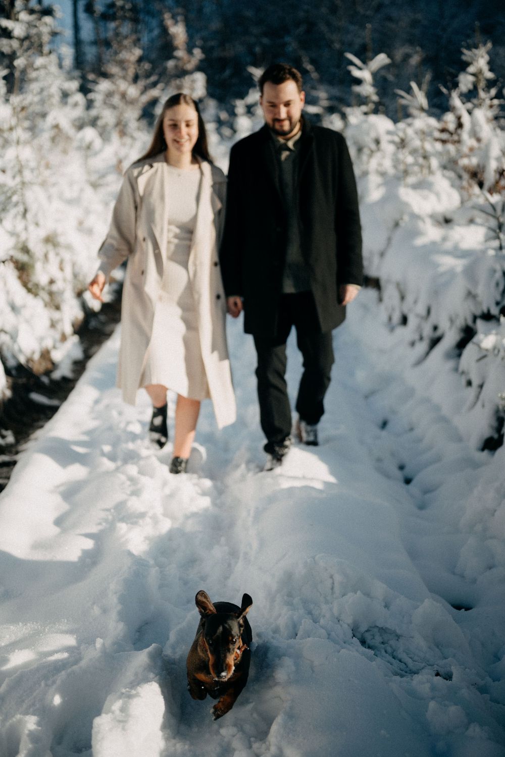 A couple walks together on a snowy winter path followed by their small black dog in a serene forest setting.