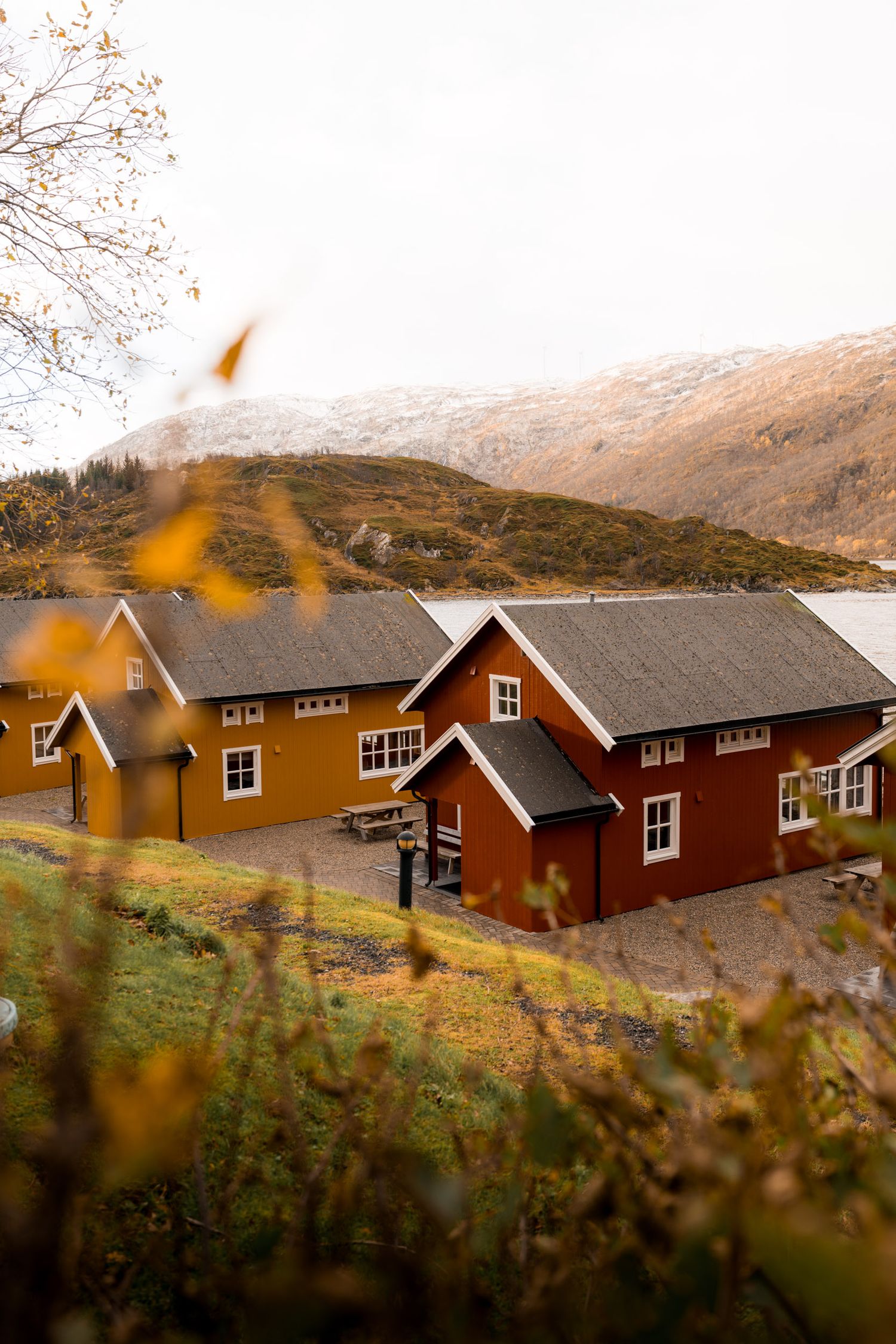 lauklines en automne avec végétation orange et neige sur les montagnes
