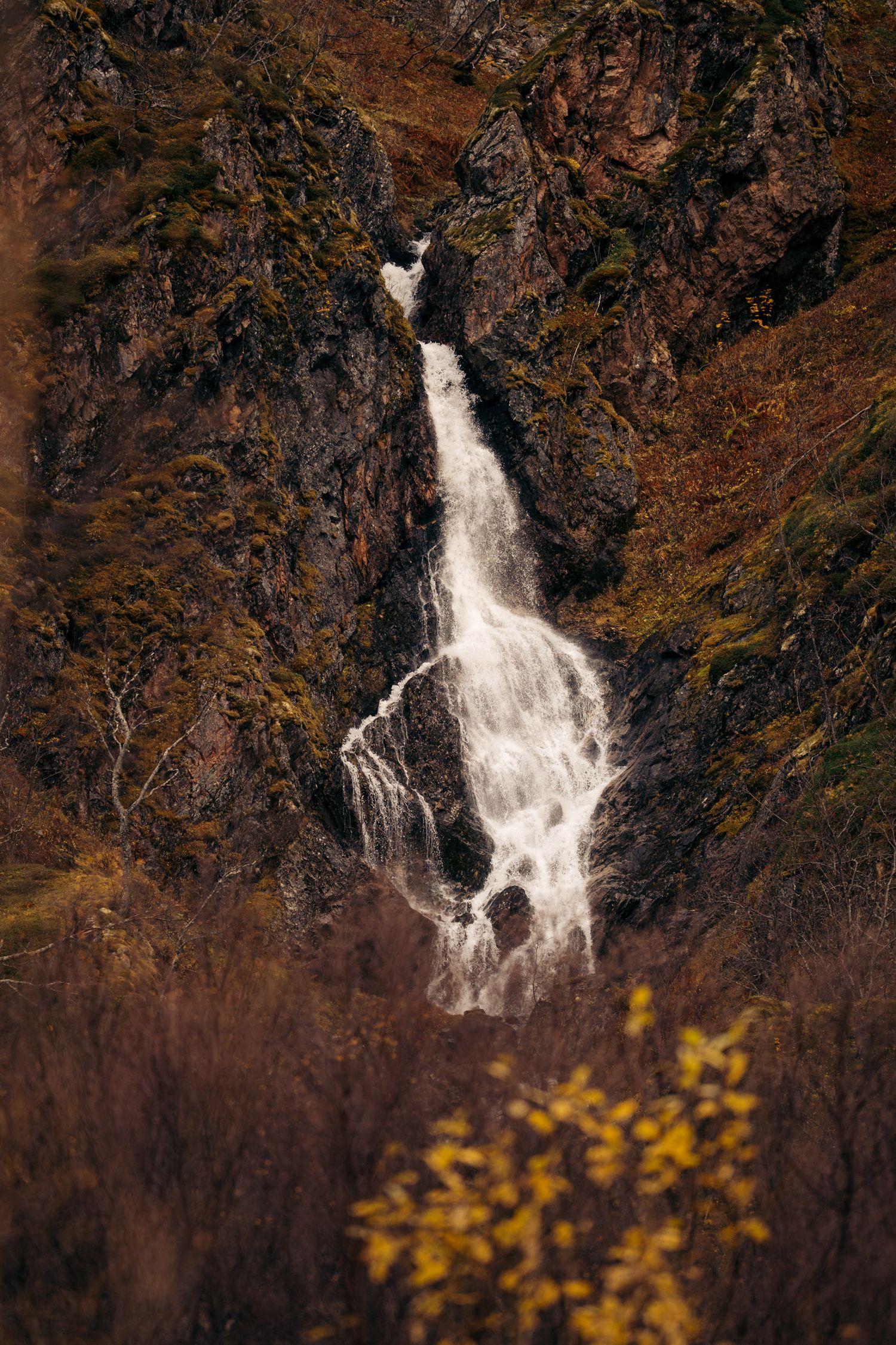 cascade à kvaloya avec les feuilles oranges d'automne