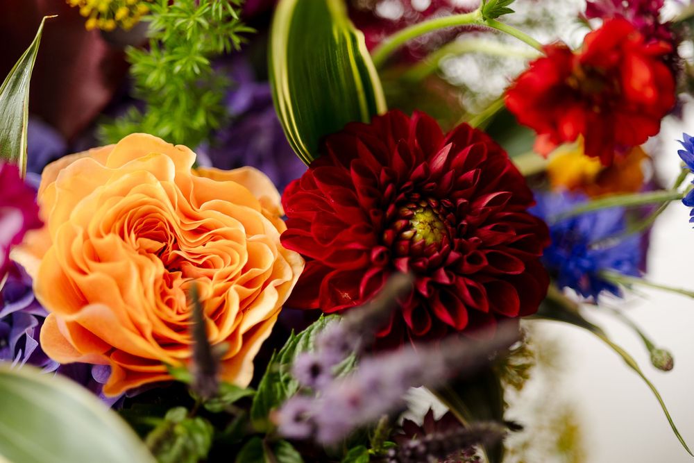 Close-up of colorful wedding flowers featuring orange roses and deep burgundy dahlias.