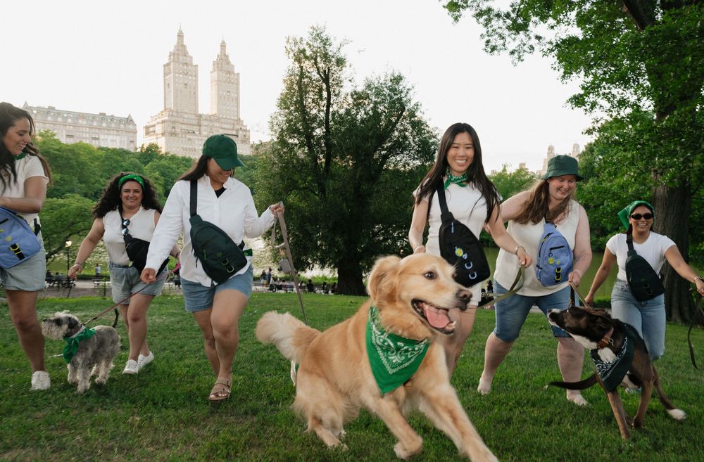 Group of young women walking dogs in Central Park, NYC, with a happy golden retriever wearing a green bandana.