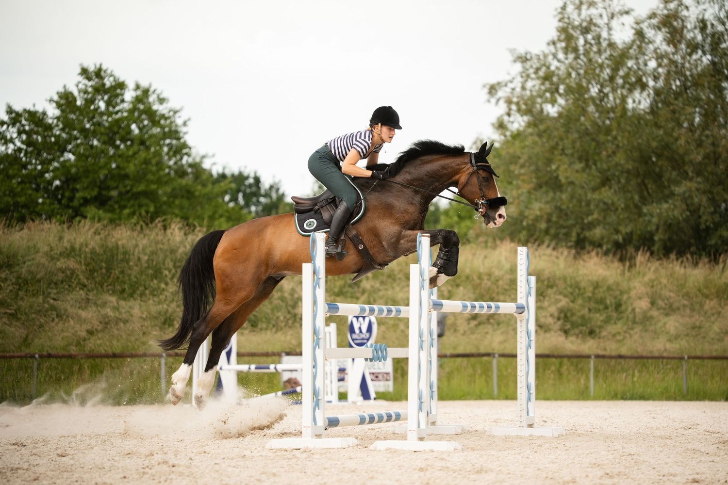 A rider on a bay horse clears a white show jumping fence during an equestrian competition.