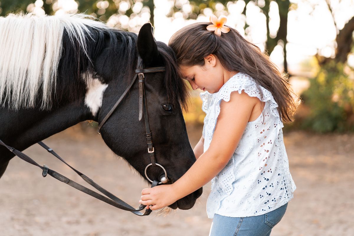 A series of photos showing someone bonding with a black horse in a natural outdoor setting at sunset.
