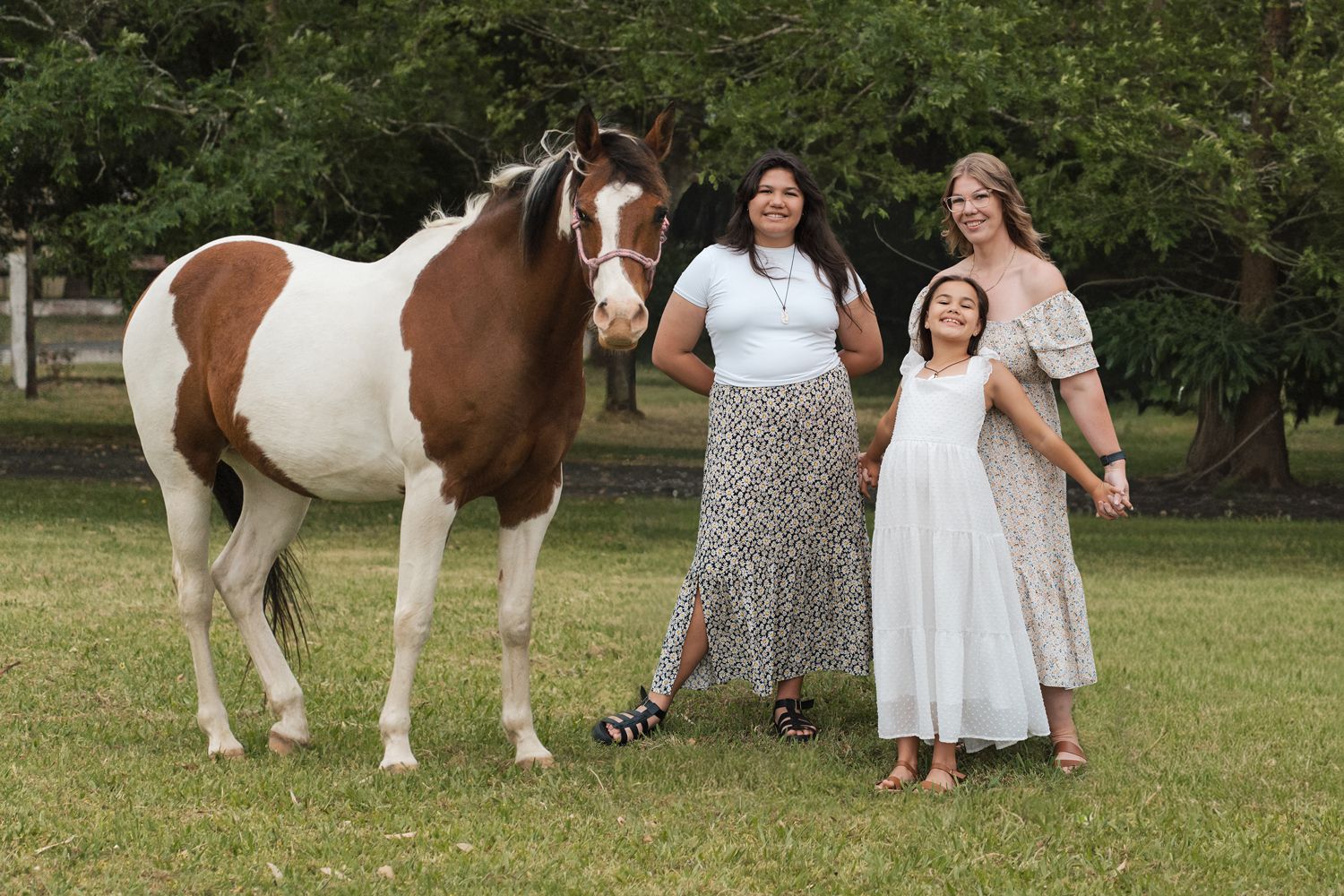 A family pose with a paint horse in a grassy field during a summer photoshoot in sydney
