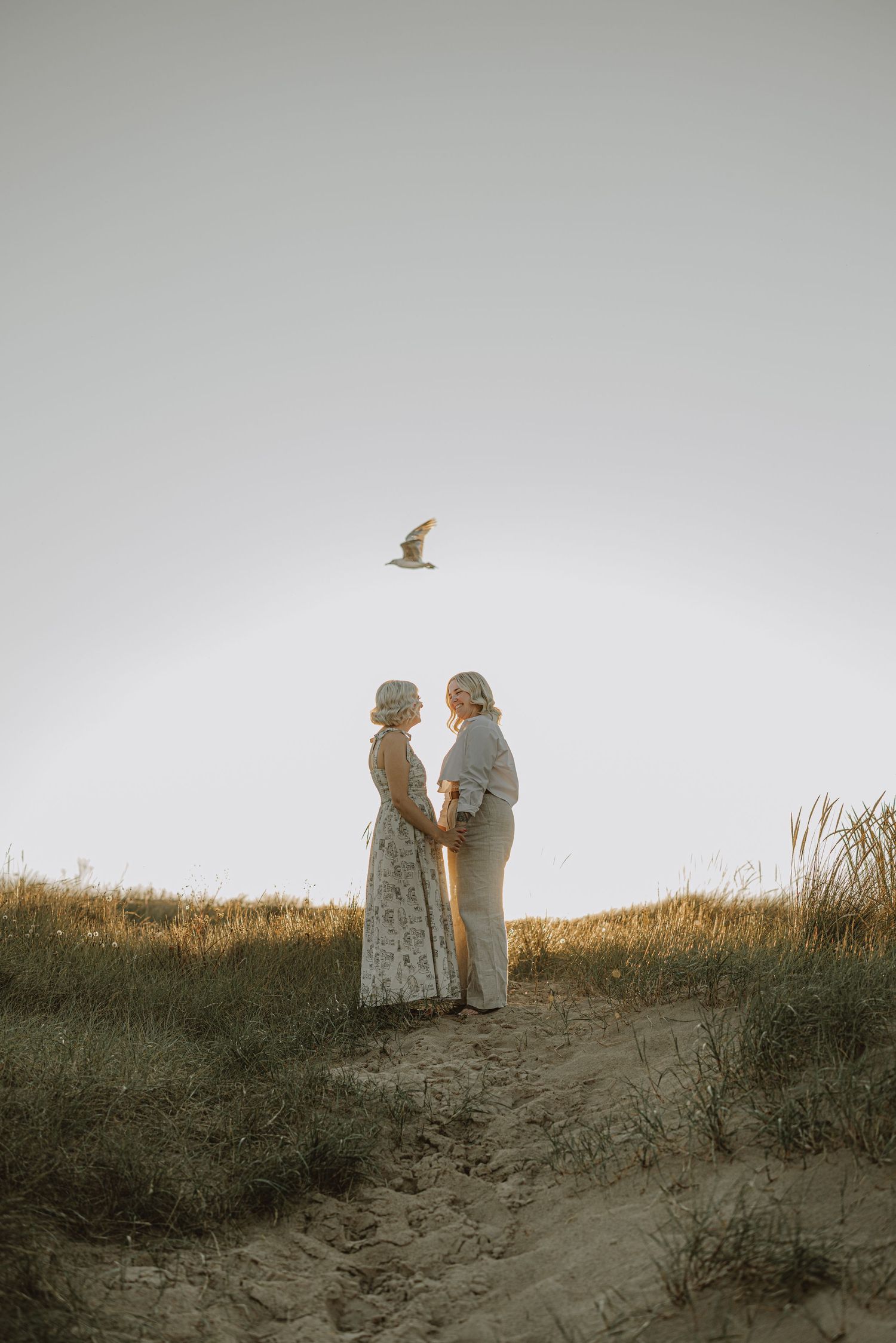 Silhouettes of two people standing on a grassy dune with a seagull flying overhead.
