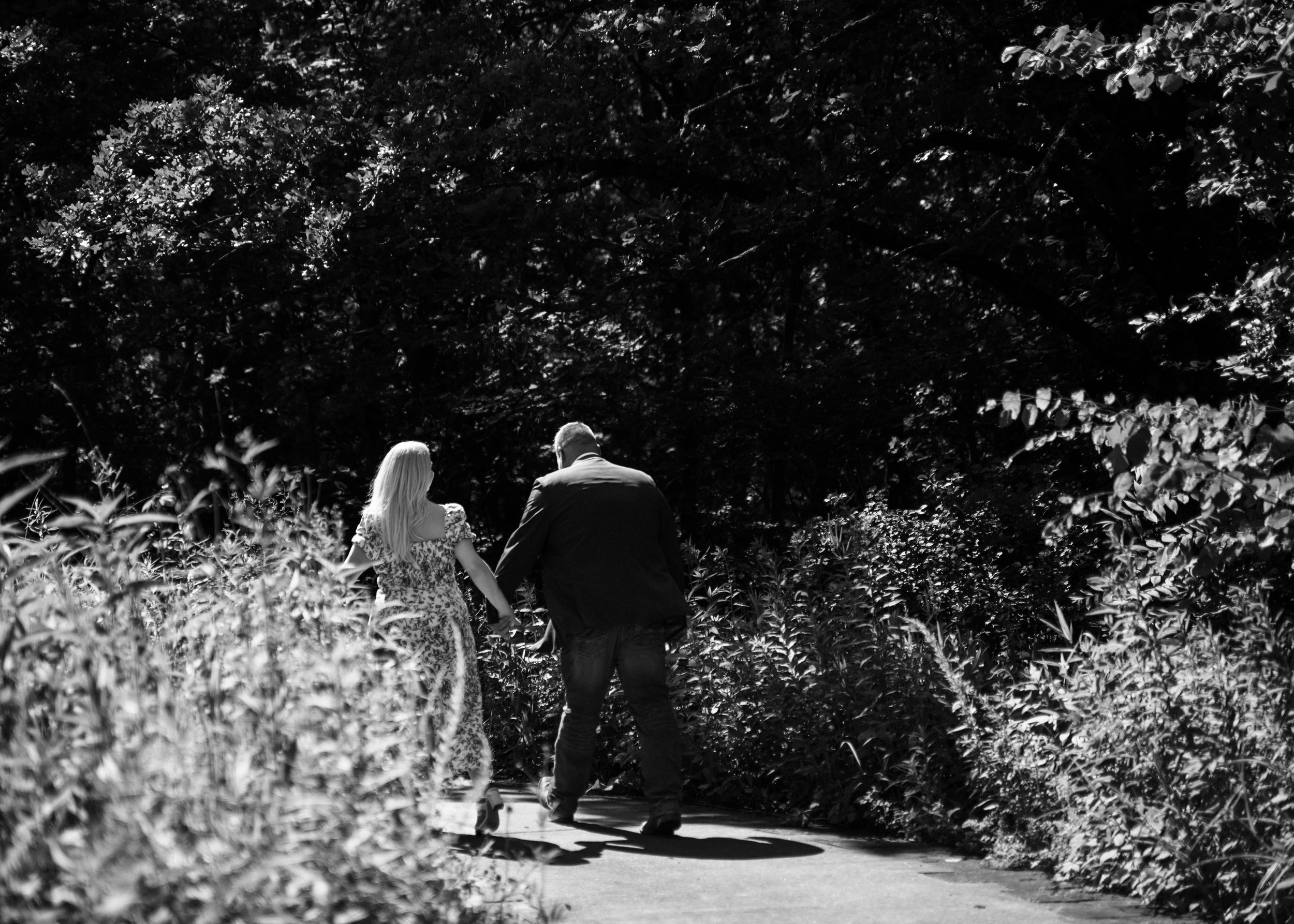 A black and white panoramic view of a wooded nature path.