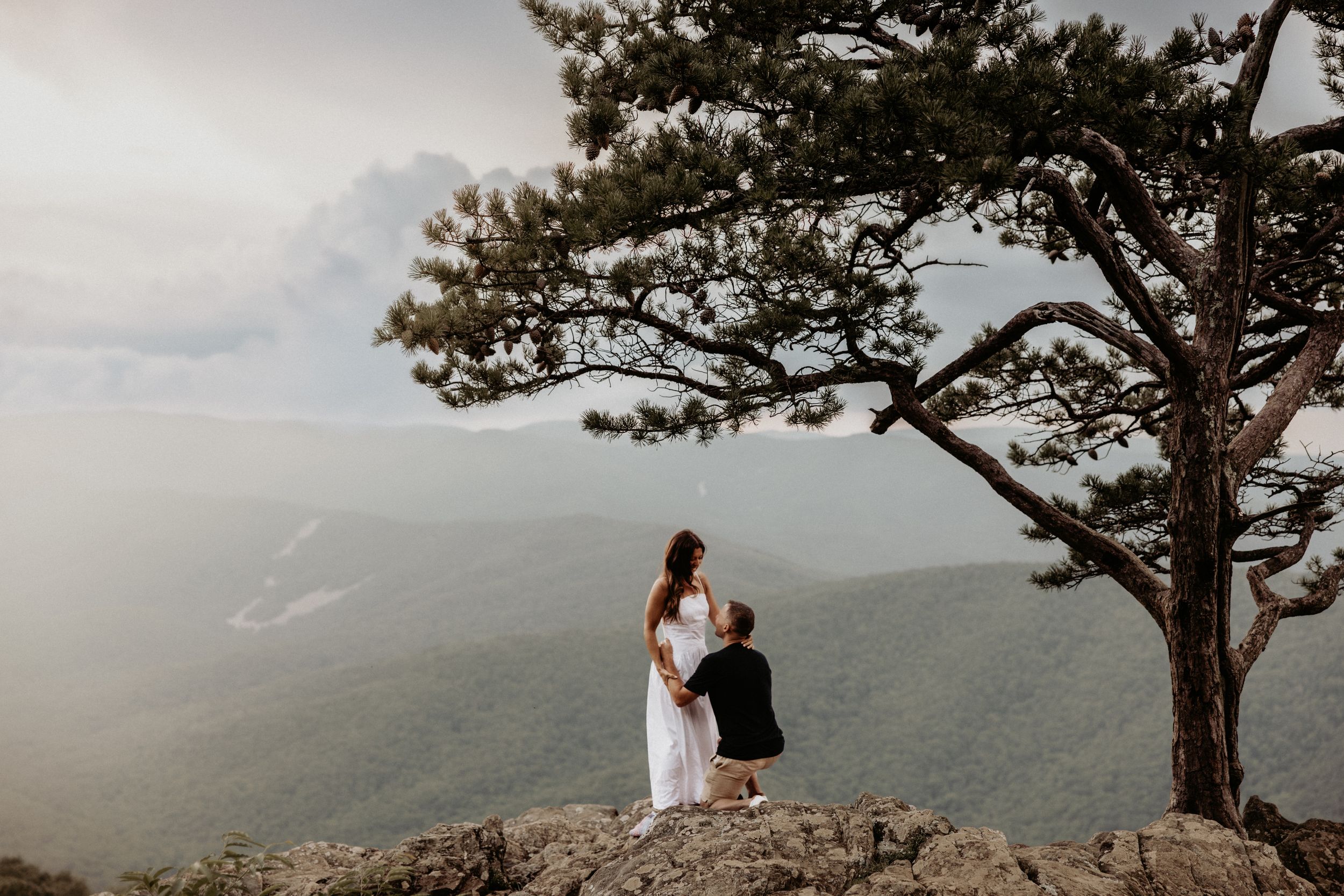 Two people embrace on a mountain cliff overlooking misty hills under a lone pine tree at sunset.
