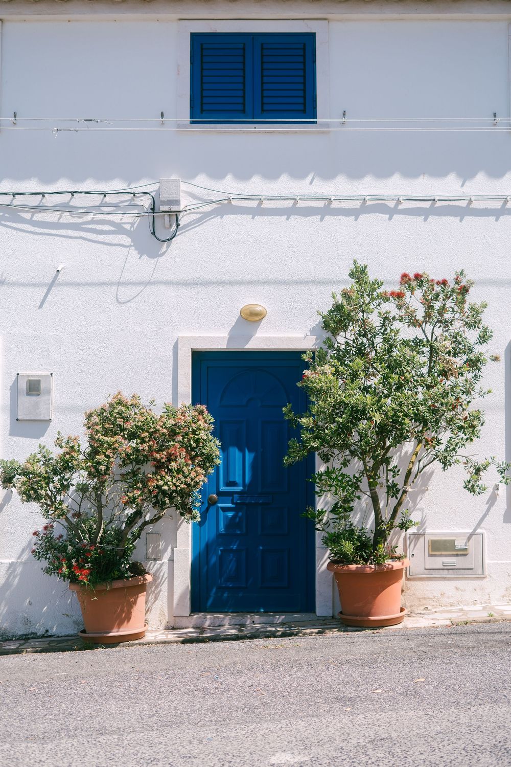 Mediterranean style white building facade with blue shutters and potted plants.