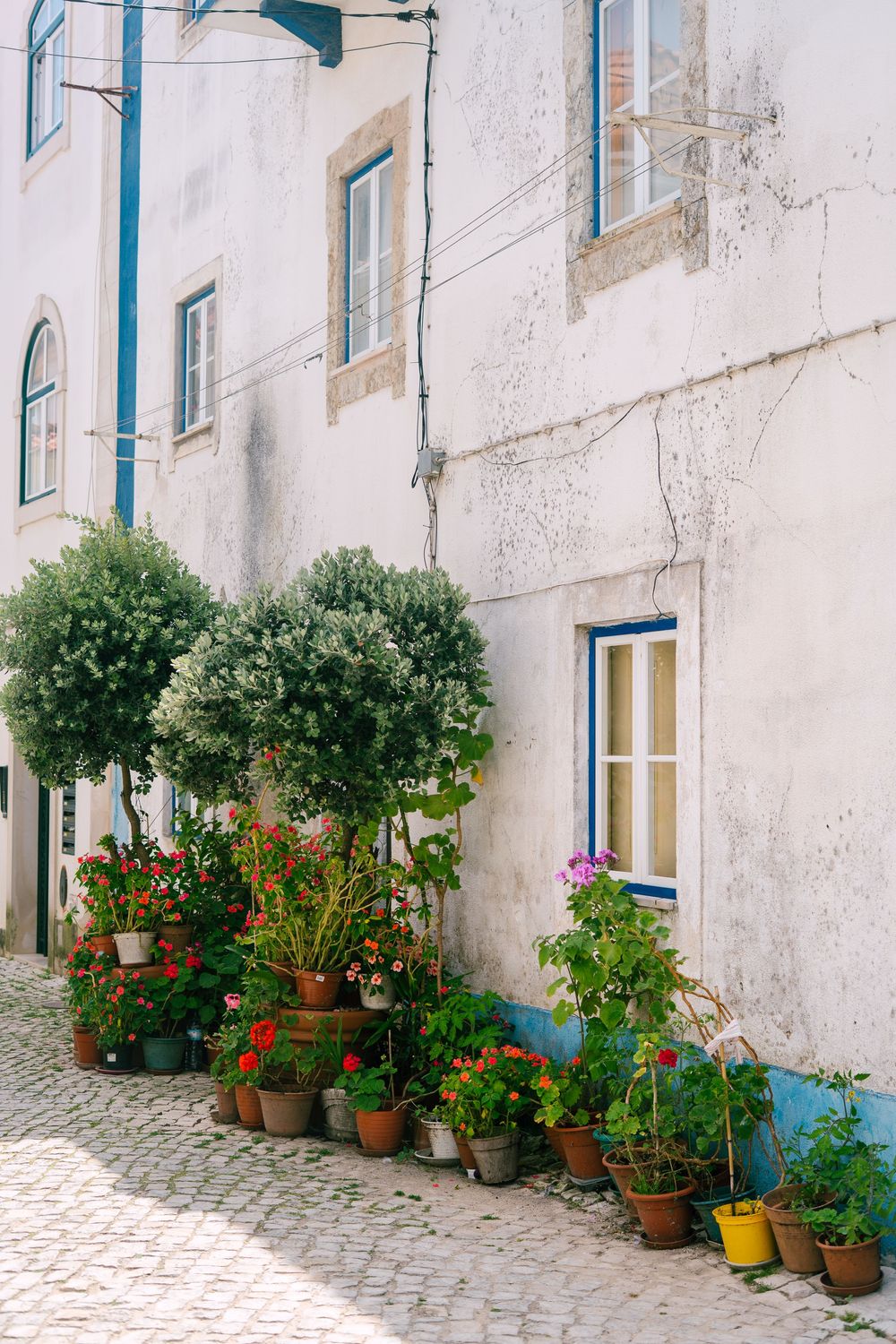 Charming Mediterranean facade with potted plants and decorative topiaries along a cobblestone street.