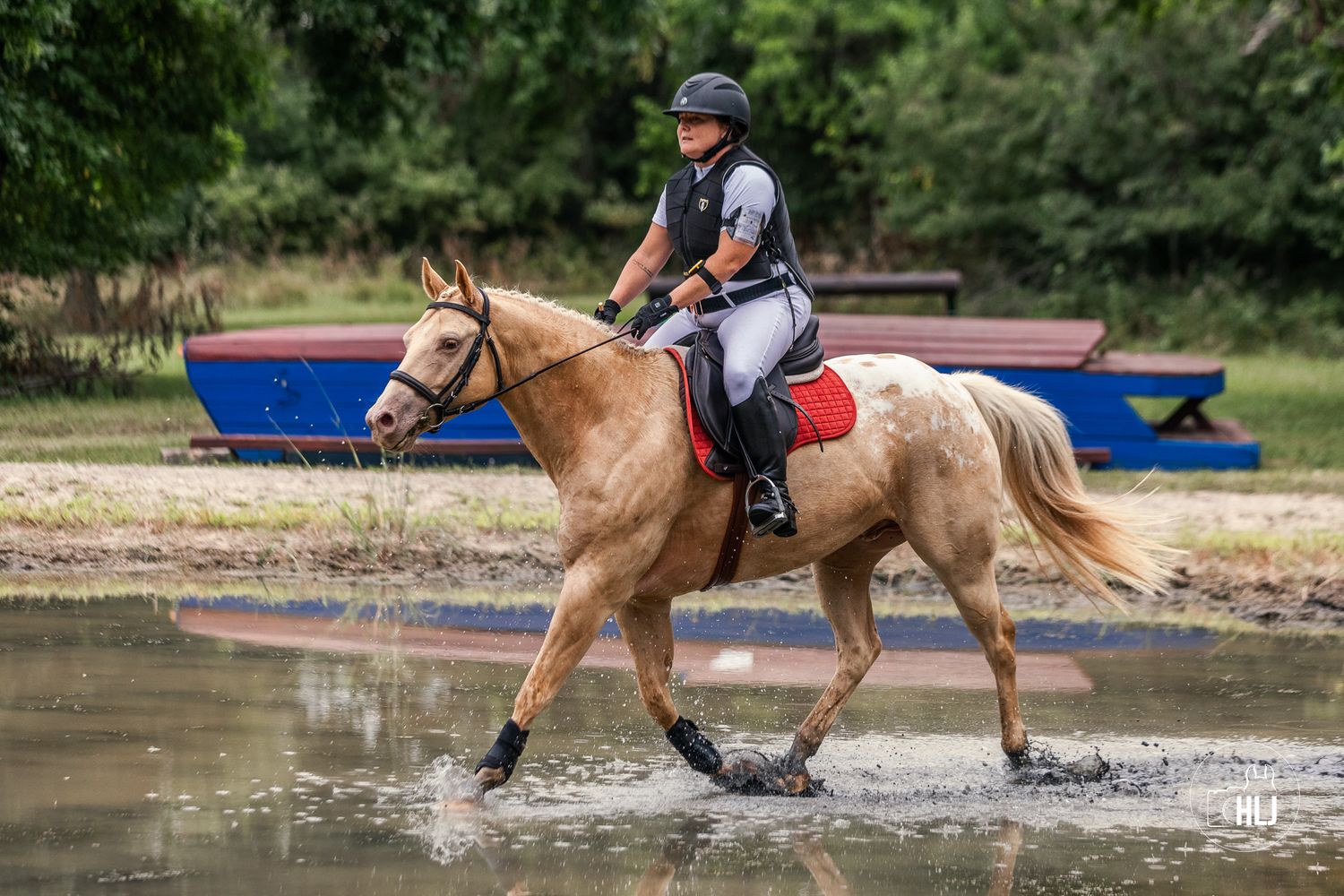Person riding a chestnut horse through shallow water during cross country training.
