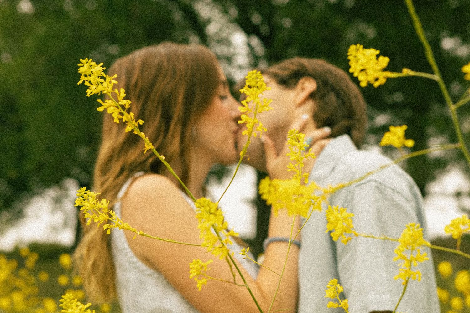 A romantic couple share a tender moment among bright yellow wildflowers in a sunny meadow.