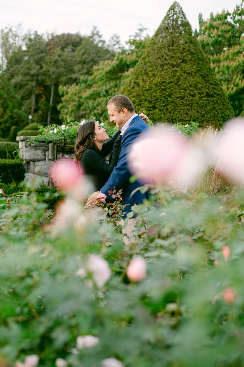 Romantic garden scene with couple among blooming roses and manicured hedges.