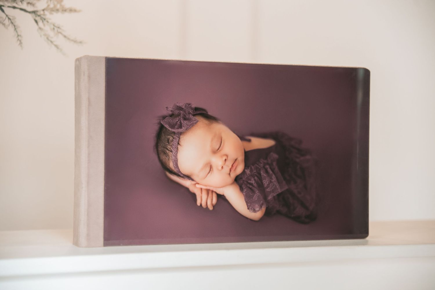 Photography studio wall display with multiple framed portraits in muted tones.