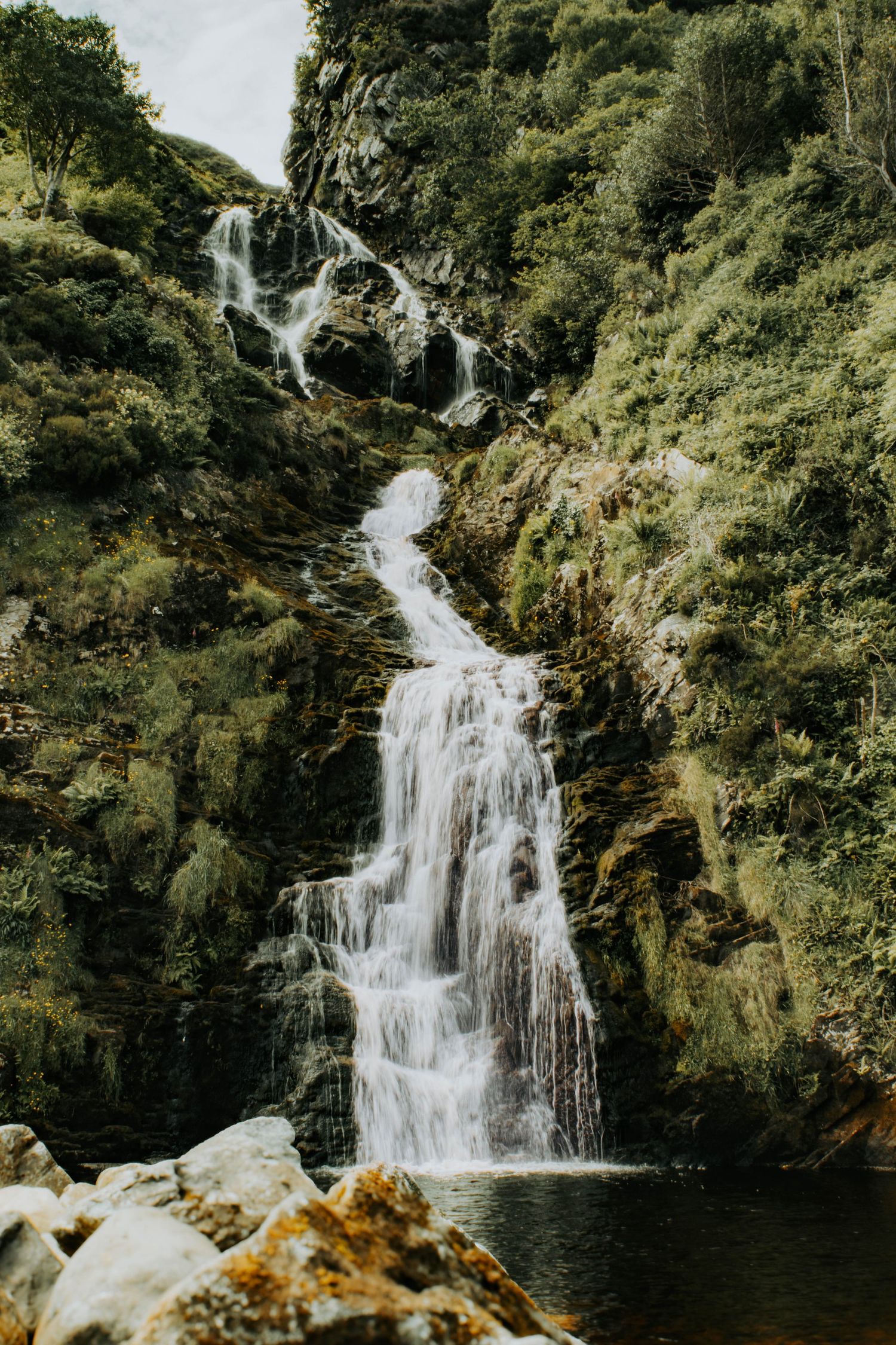 Scenic waterfall cascades down moss-covered rocks into a tranquil pool surrounded by lush green forest.