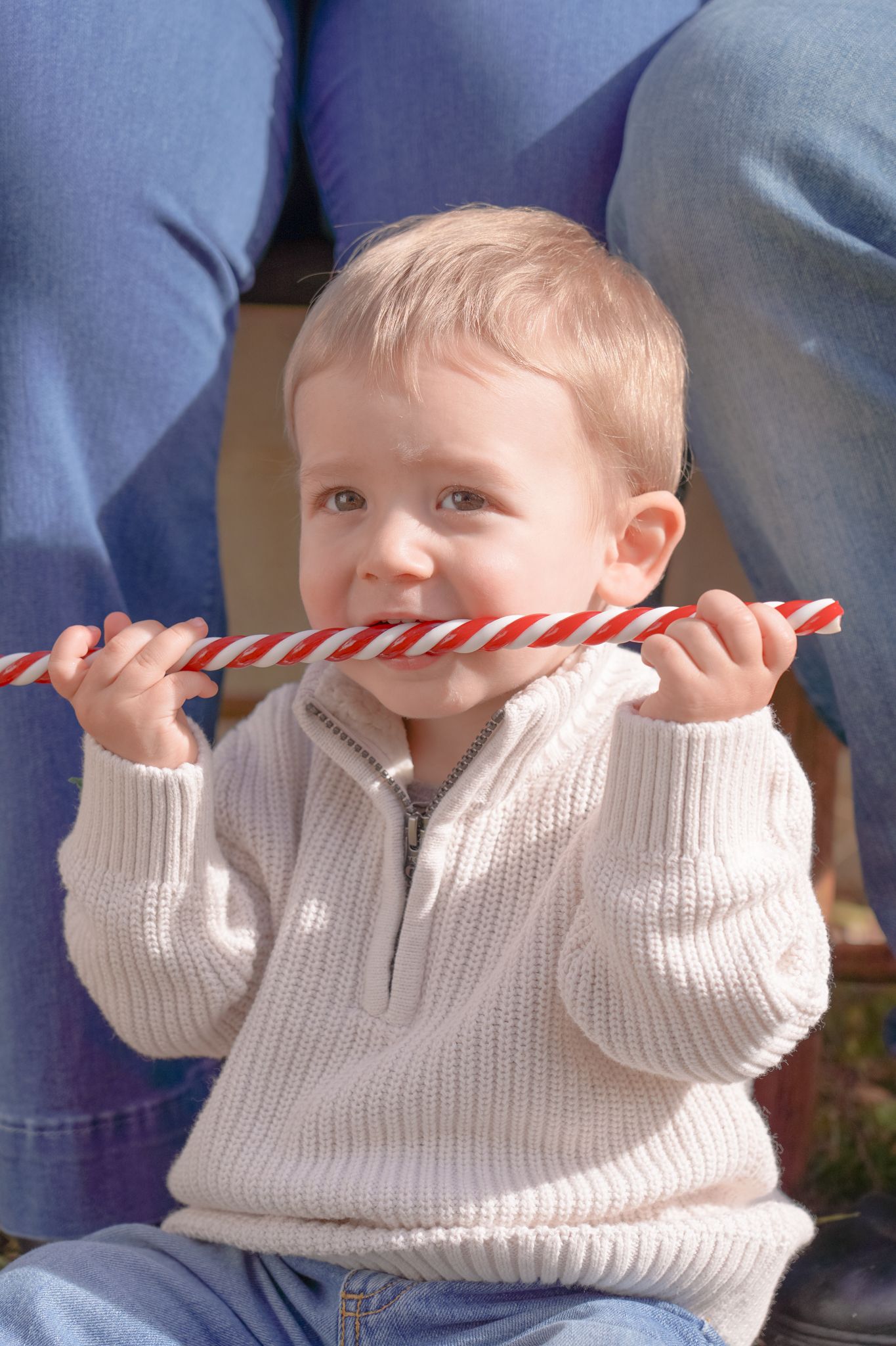 Young child in white knit sweater playfully holding a candy cane in their mouth during holiday season. Lincolnton NC Family Photography