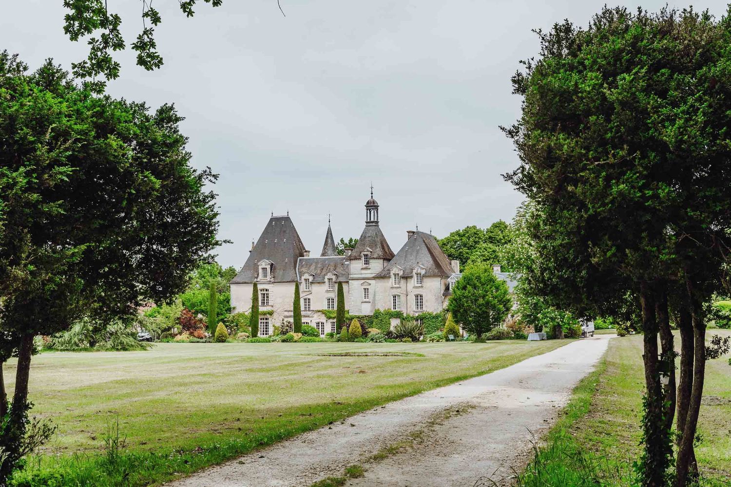 A scenic panoramic view of a tree-lined path leading to a historic stone chateau on a misty hilltop in France.