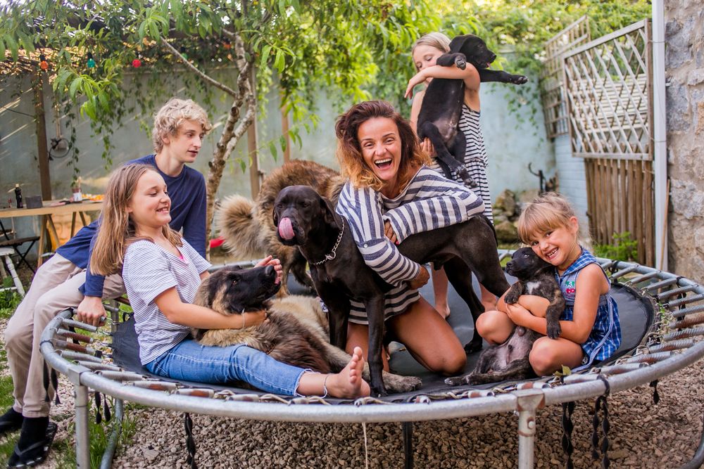sessão-familia-fotógrafa-zi-fernandes