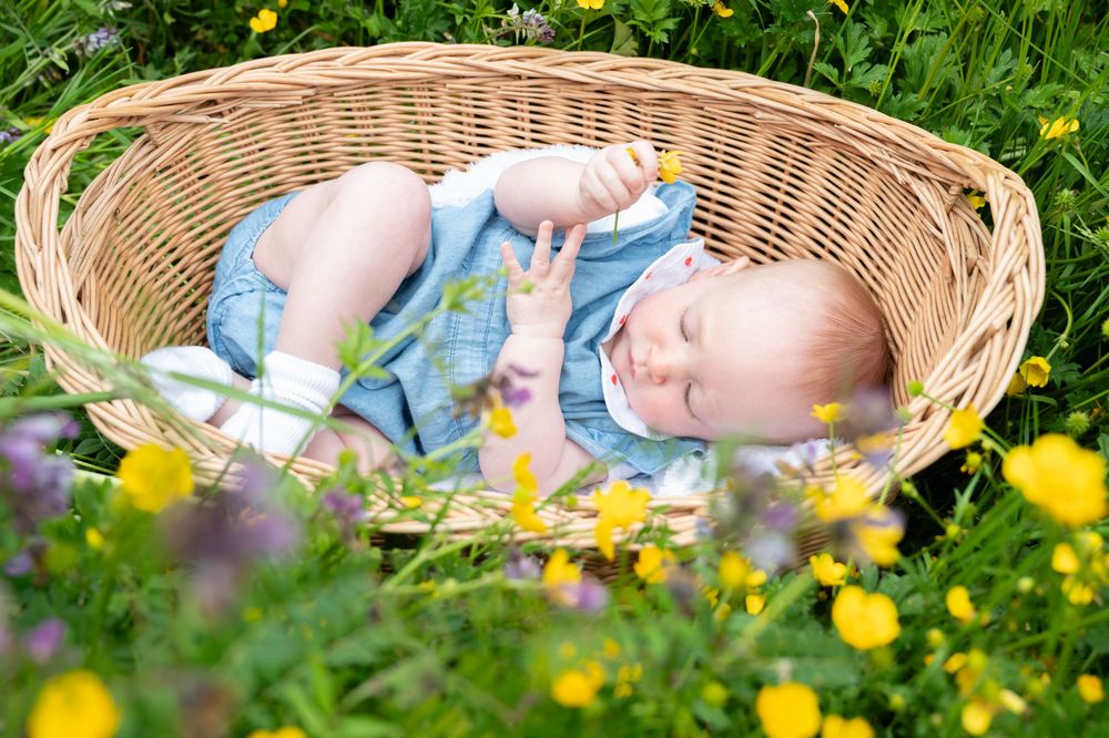 À Saint-Hubert, séance photo bébé en extérieur, bébé allongé dans un panier en osier au milieu de la nature, tenant une fleur et l’observant