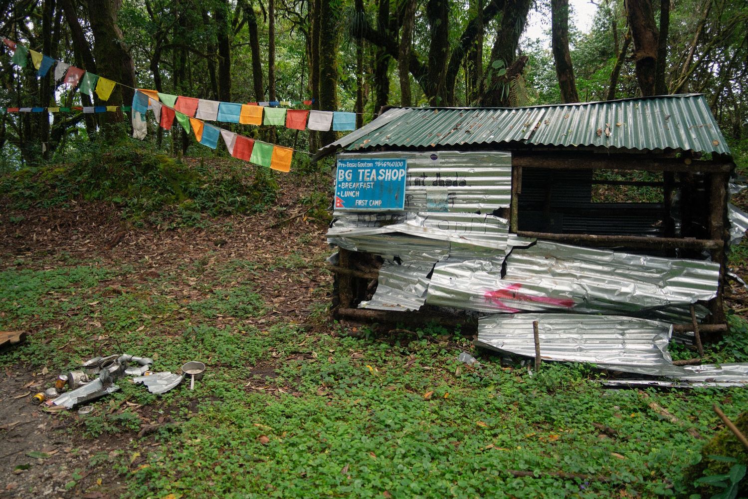 Forest path with colorful prayer flags hanging between trees and metal sheets stacked nearby.