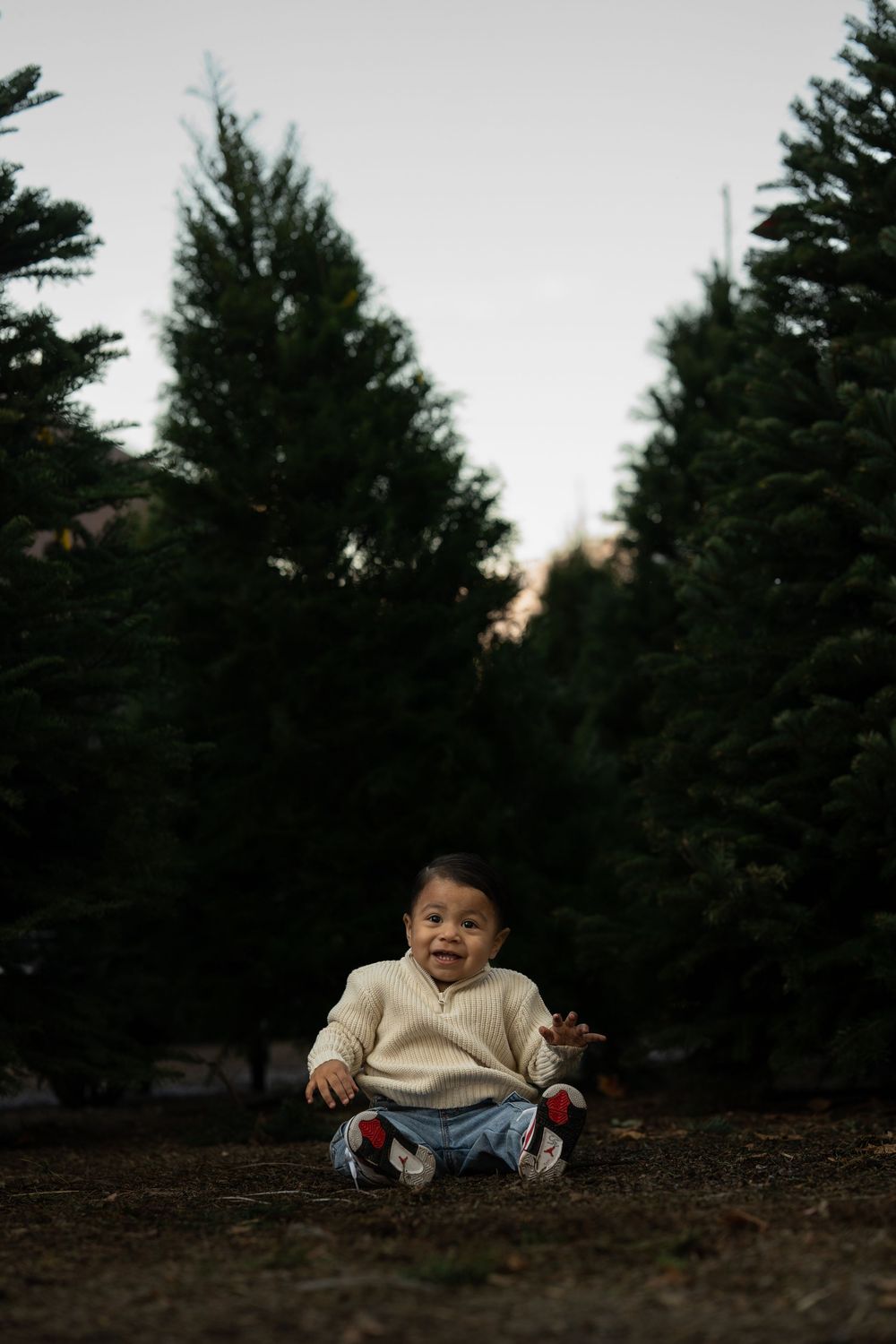 A baby in a cream sweater sits on the ground among fallen pine needles near evergreen trees.