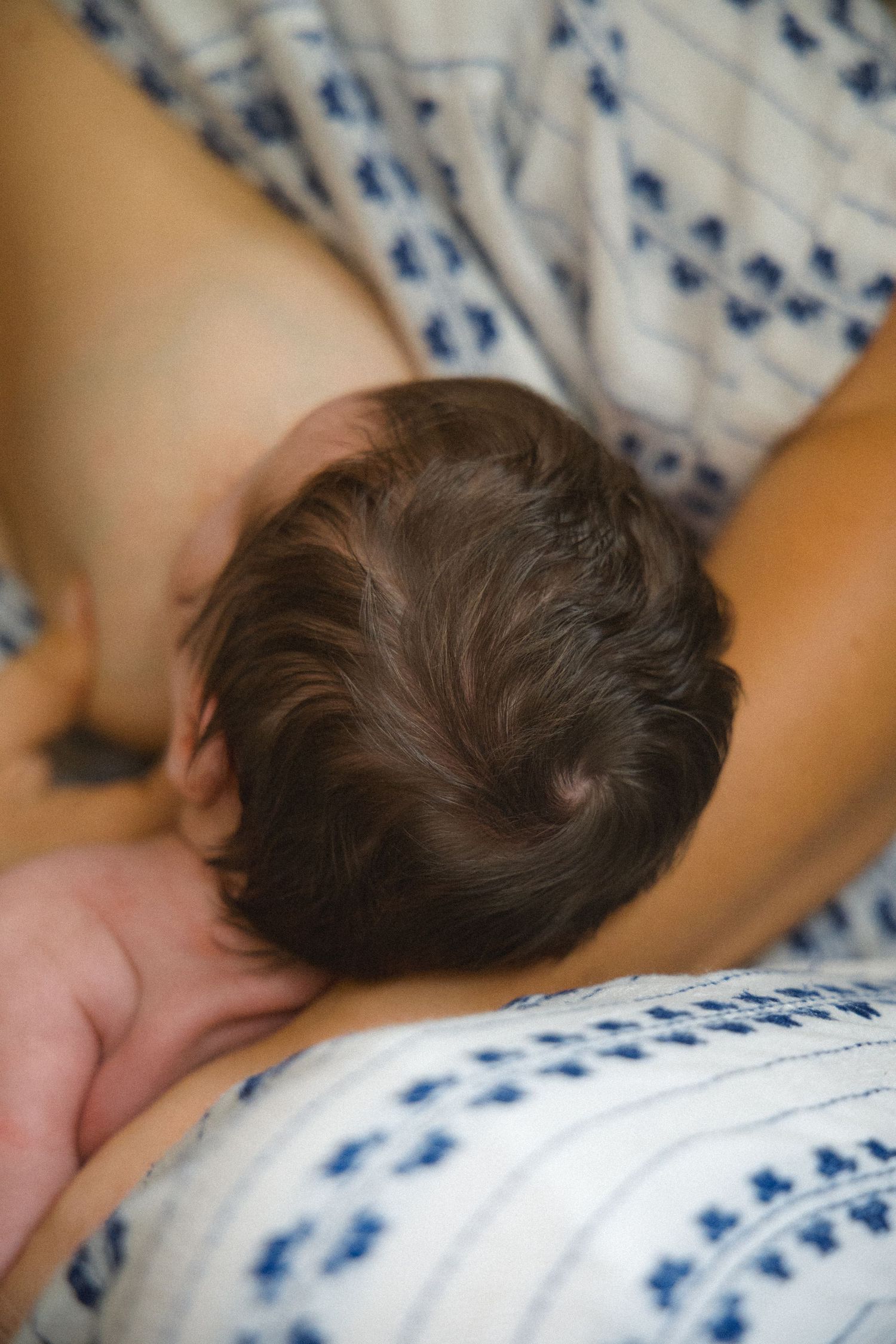 newborn hair and back of head detail photo